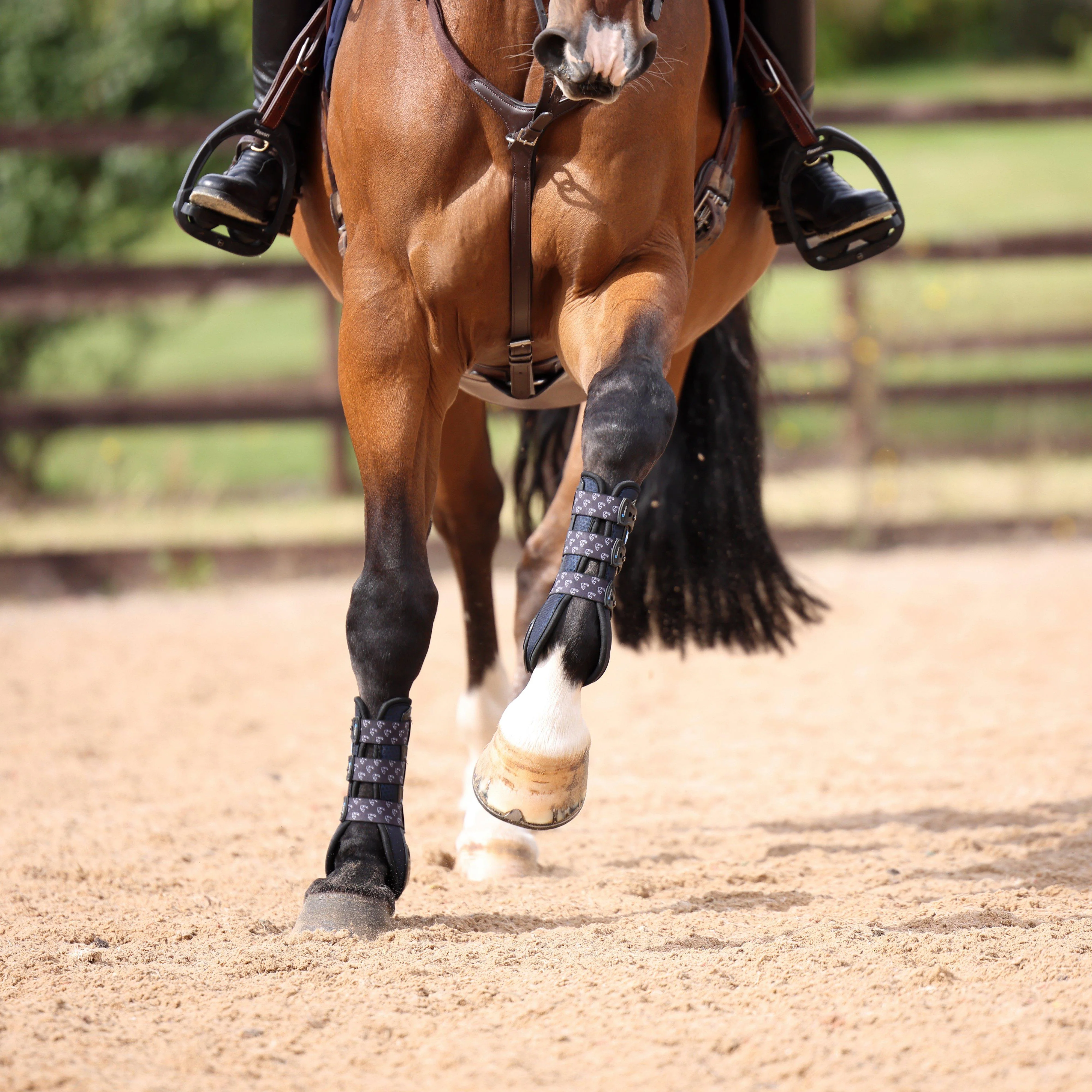 Carbon Open Fronted Tendon Boots Black - Image 3