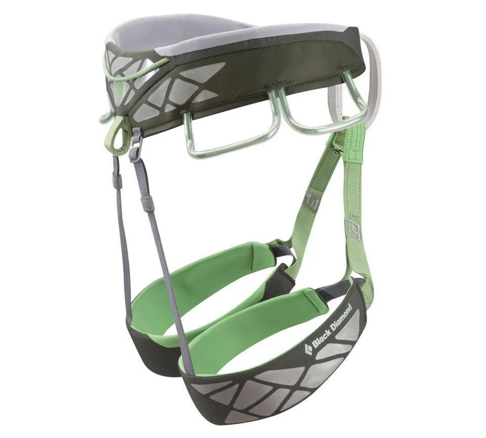 Focus Harness - Image 2