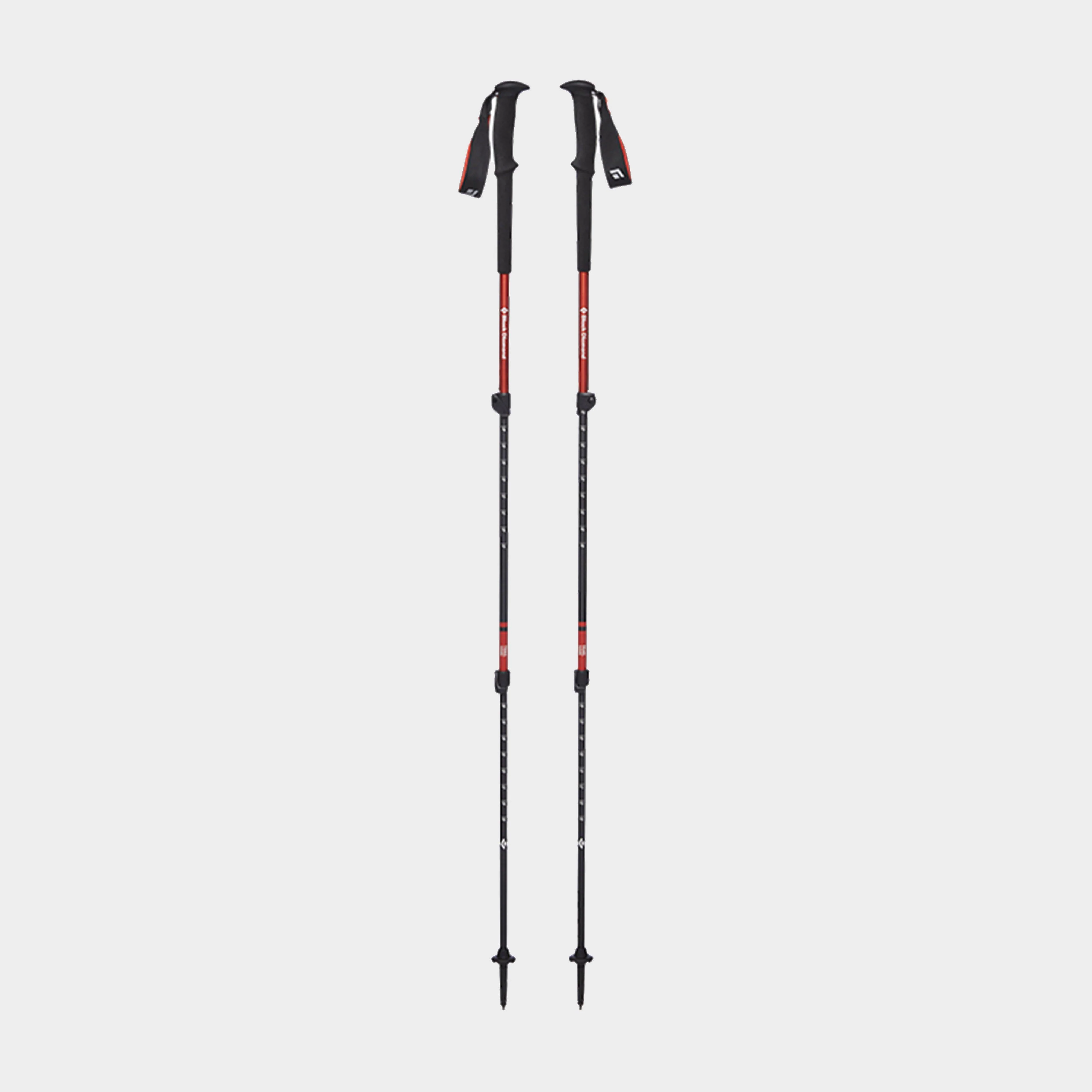 Trail Walking Poles - Image 2