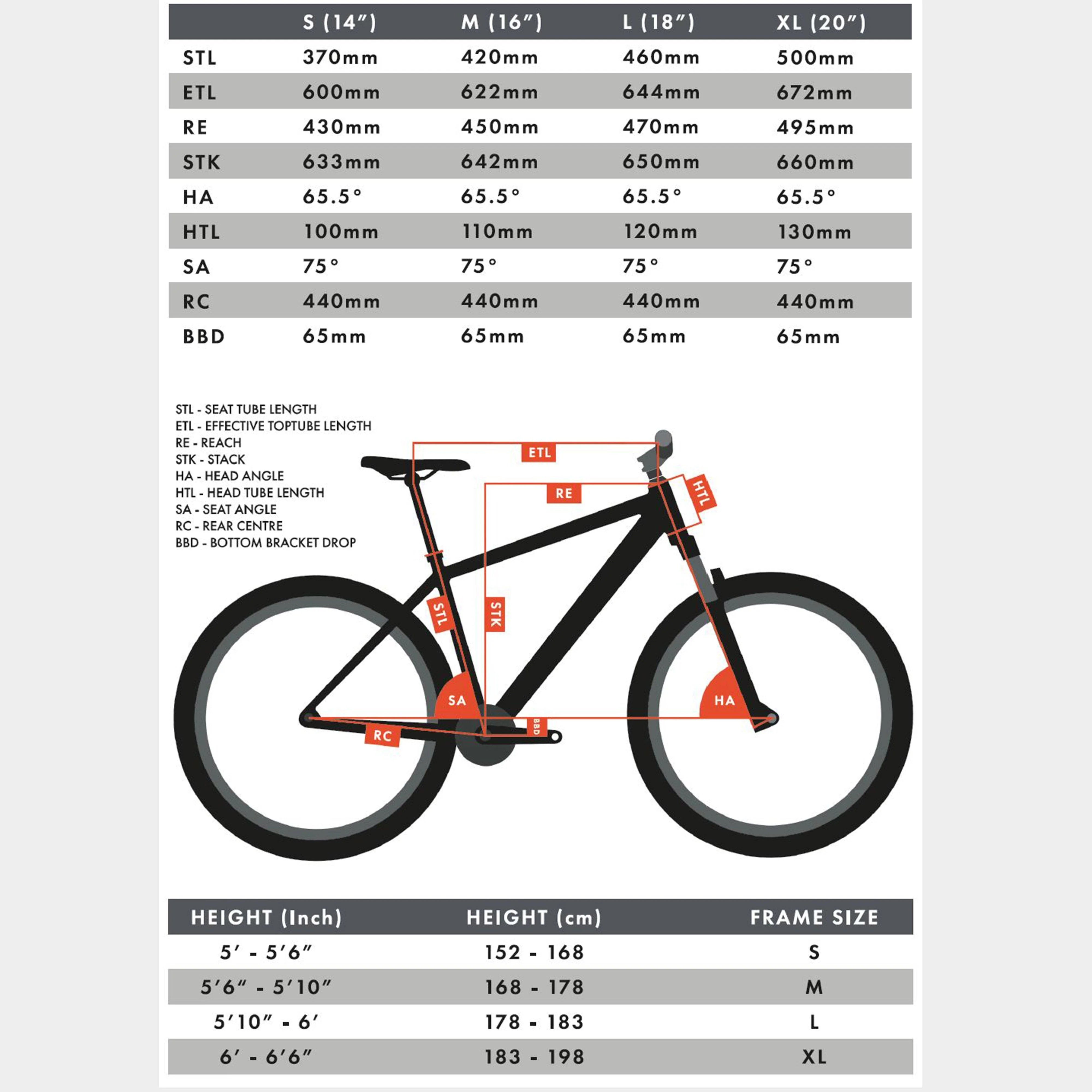 Line T3 29" Hardtail Mountain Bike - Image 3