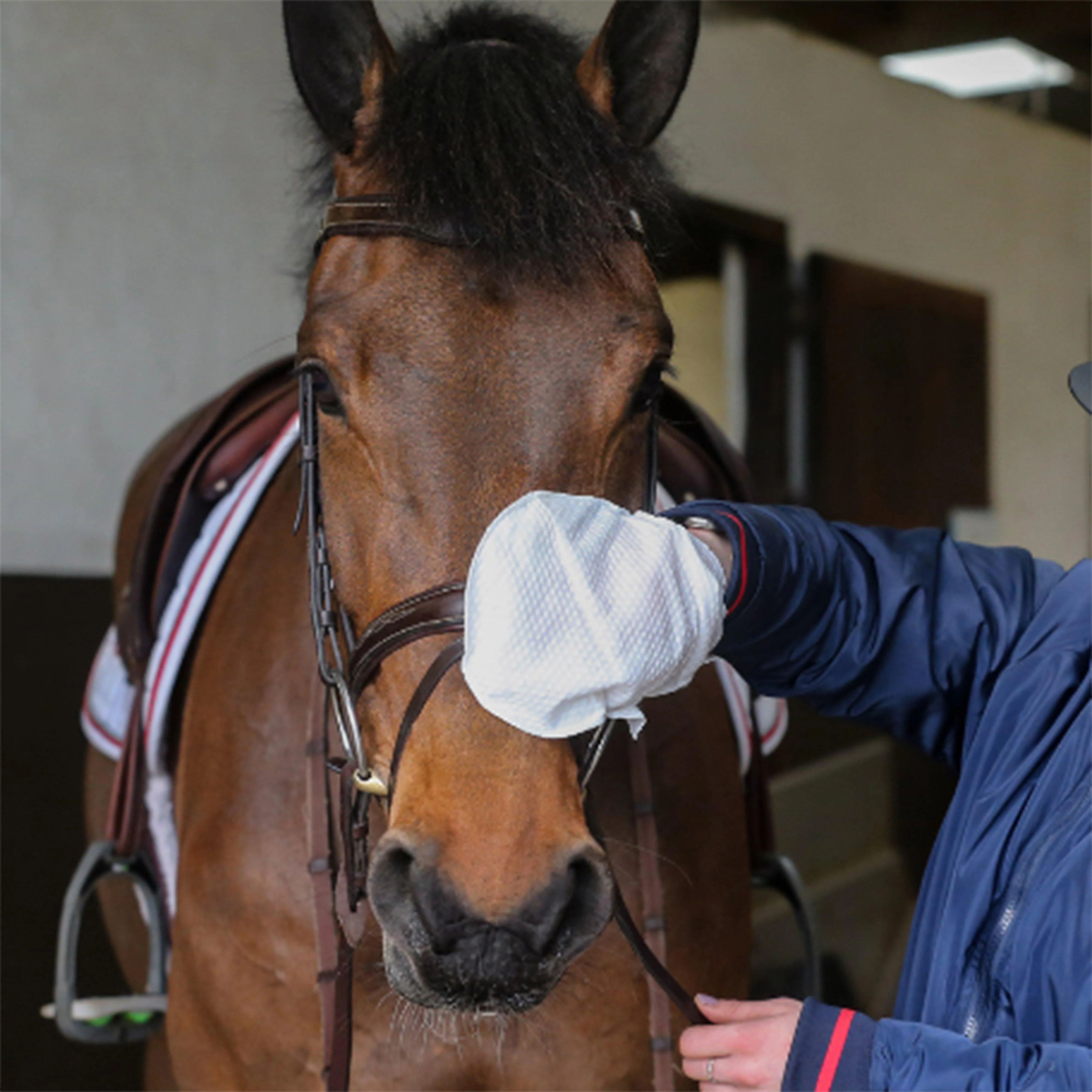 Belvoir® Tack Cleaner Mitts - Image 3