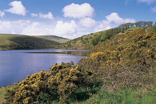 'Walking on Dartmoor' Guidebook - Image 4