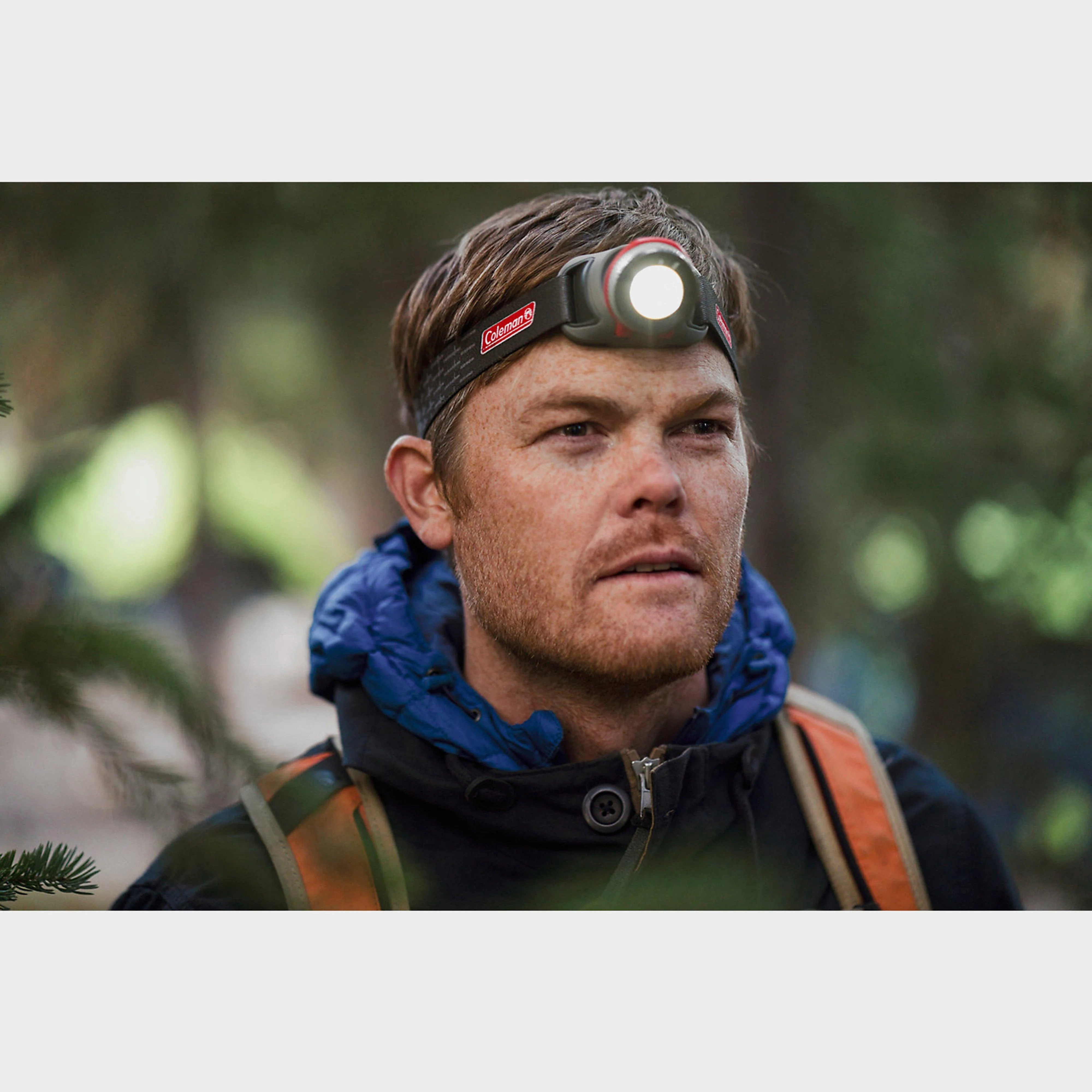 Batteryguard 300L Head Torch - Image 2