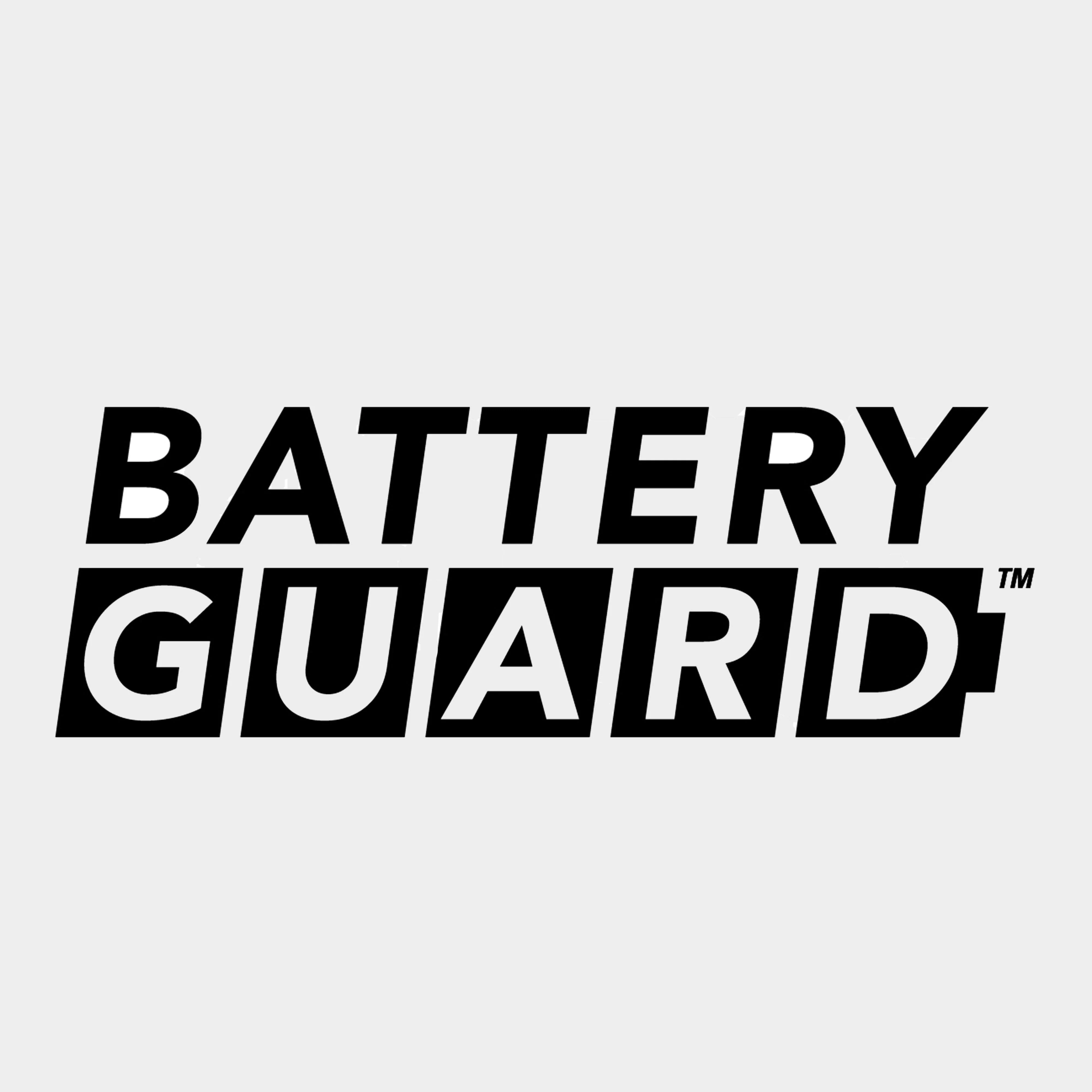 BatteryGuard 600L Lantern - Image 6