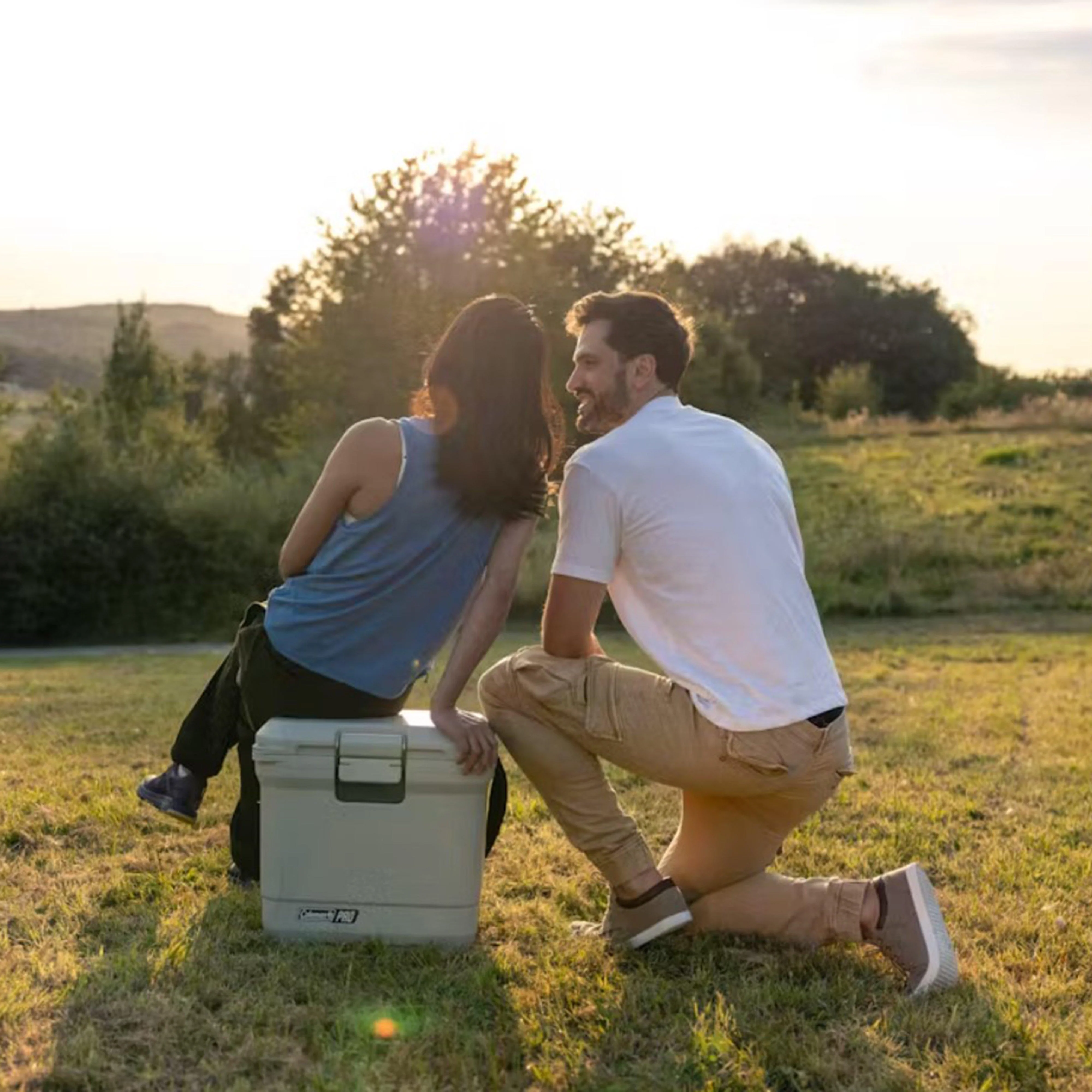 Pro 25QT Cooler Box - Image 8