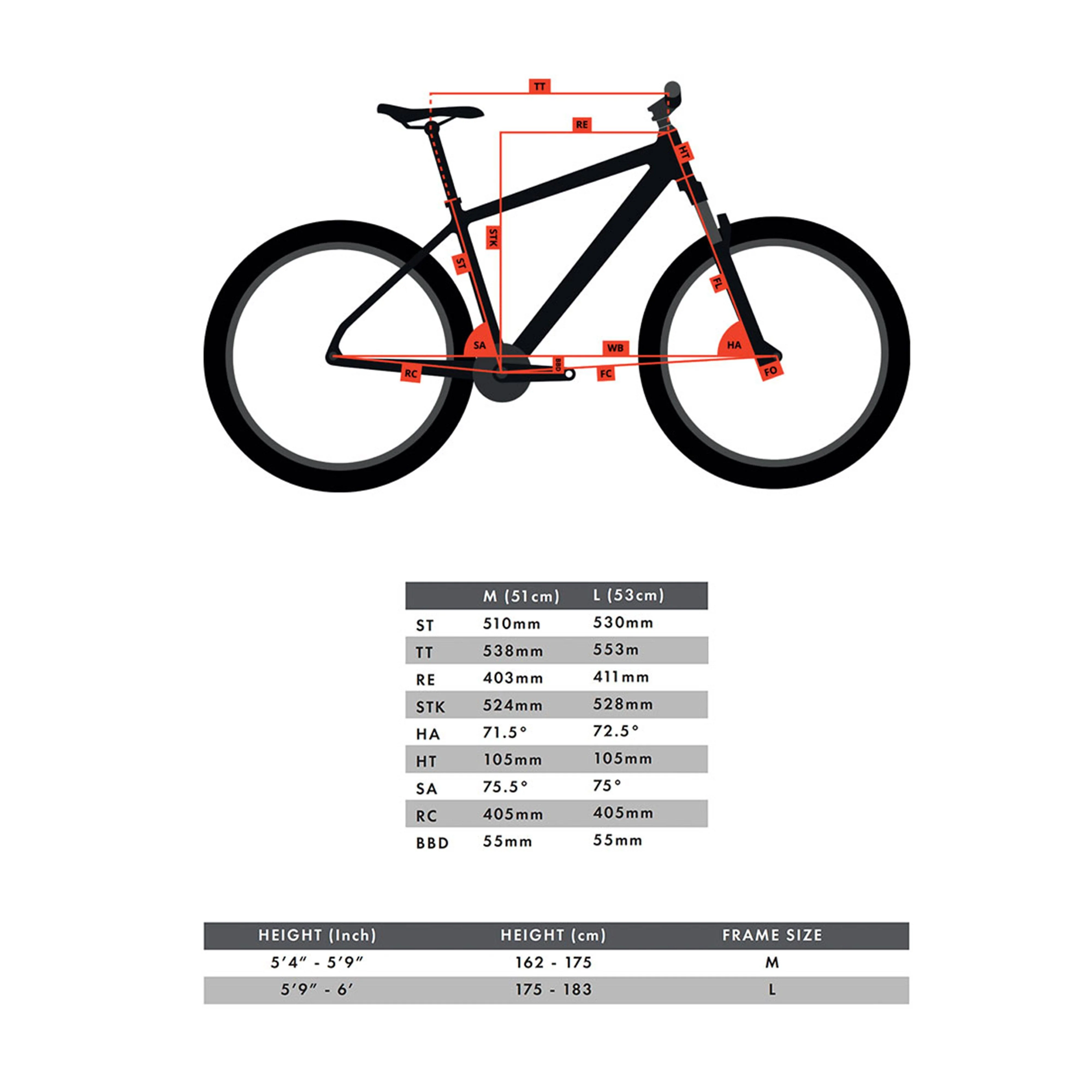 Flip Flop Bike - Image 2