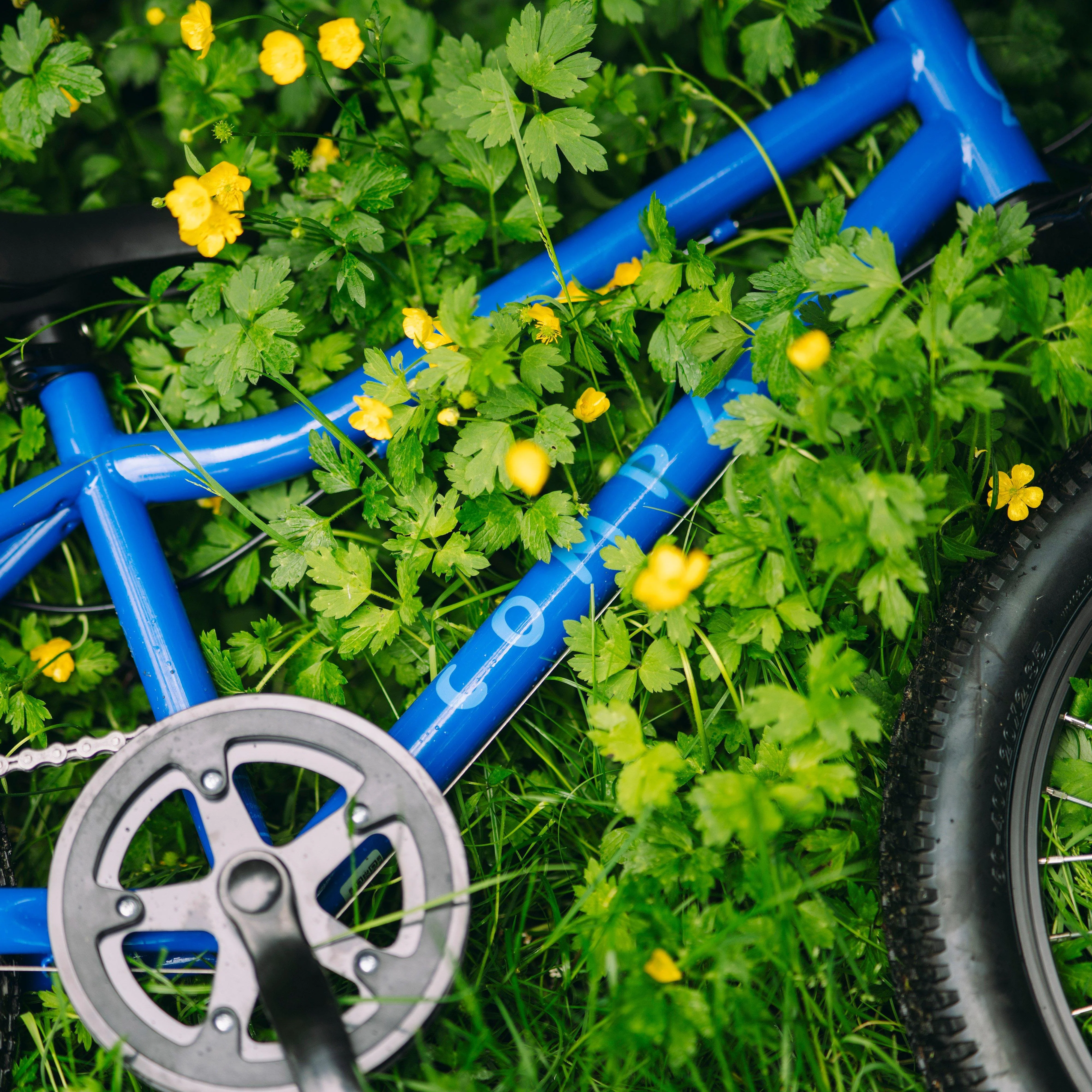 Freedom 20” Kids’ Bike - Image 3