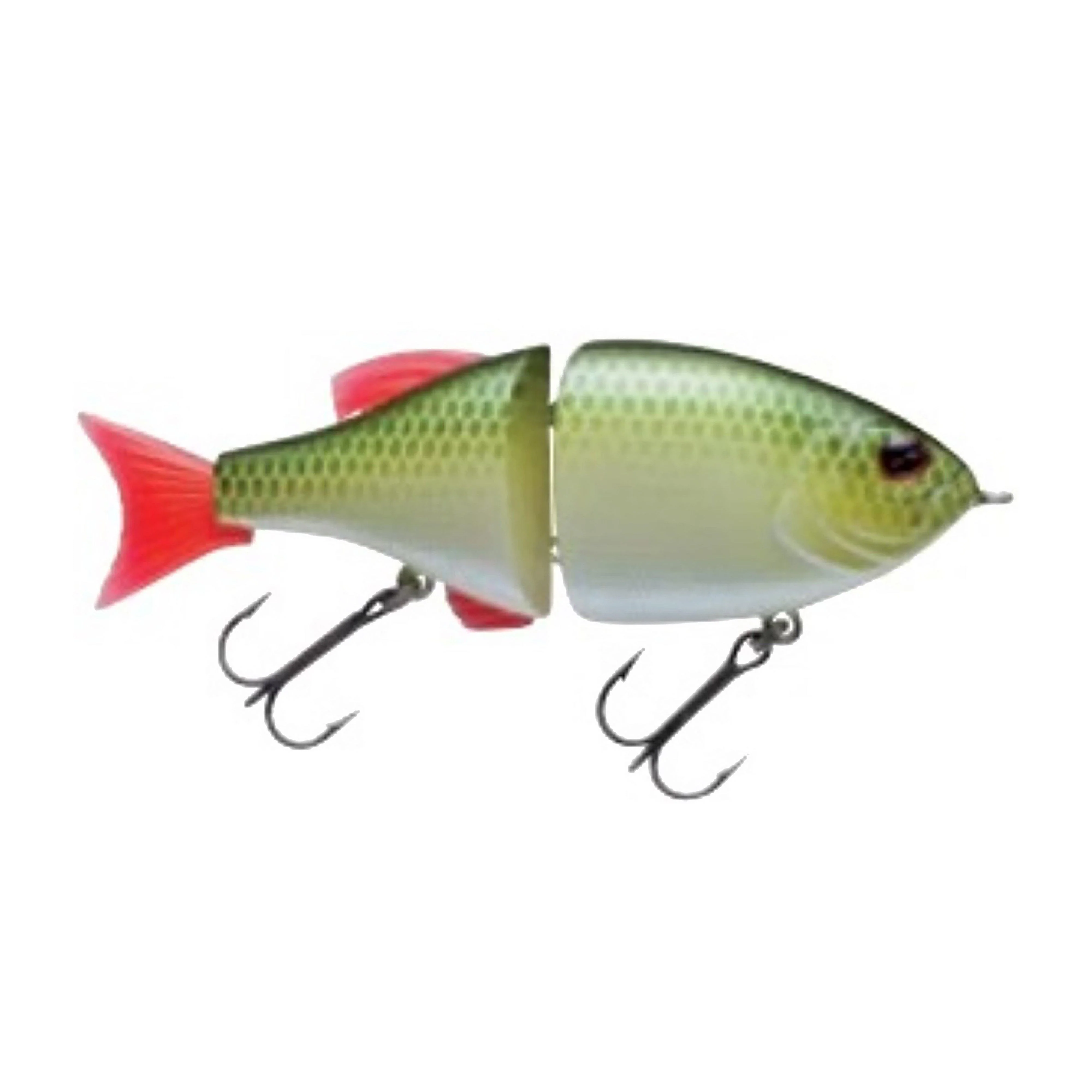 Skate Roach Fishing Lure - Image 2
