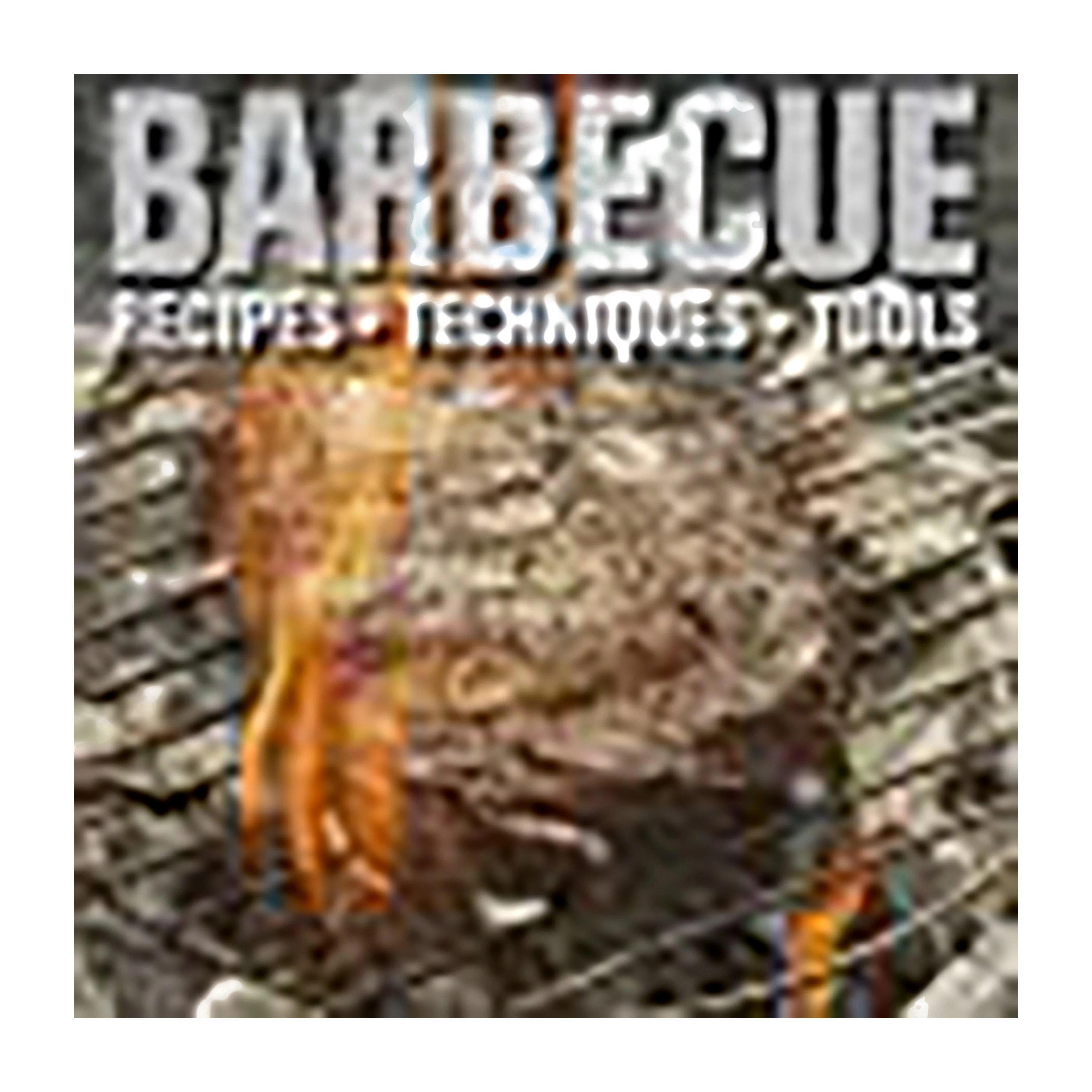 Barbecue - Guide book - Image 2