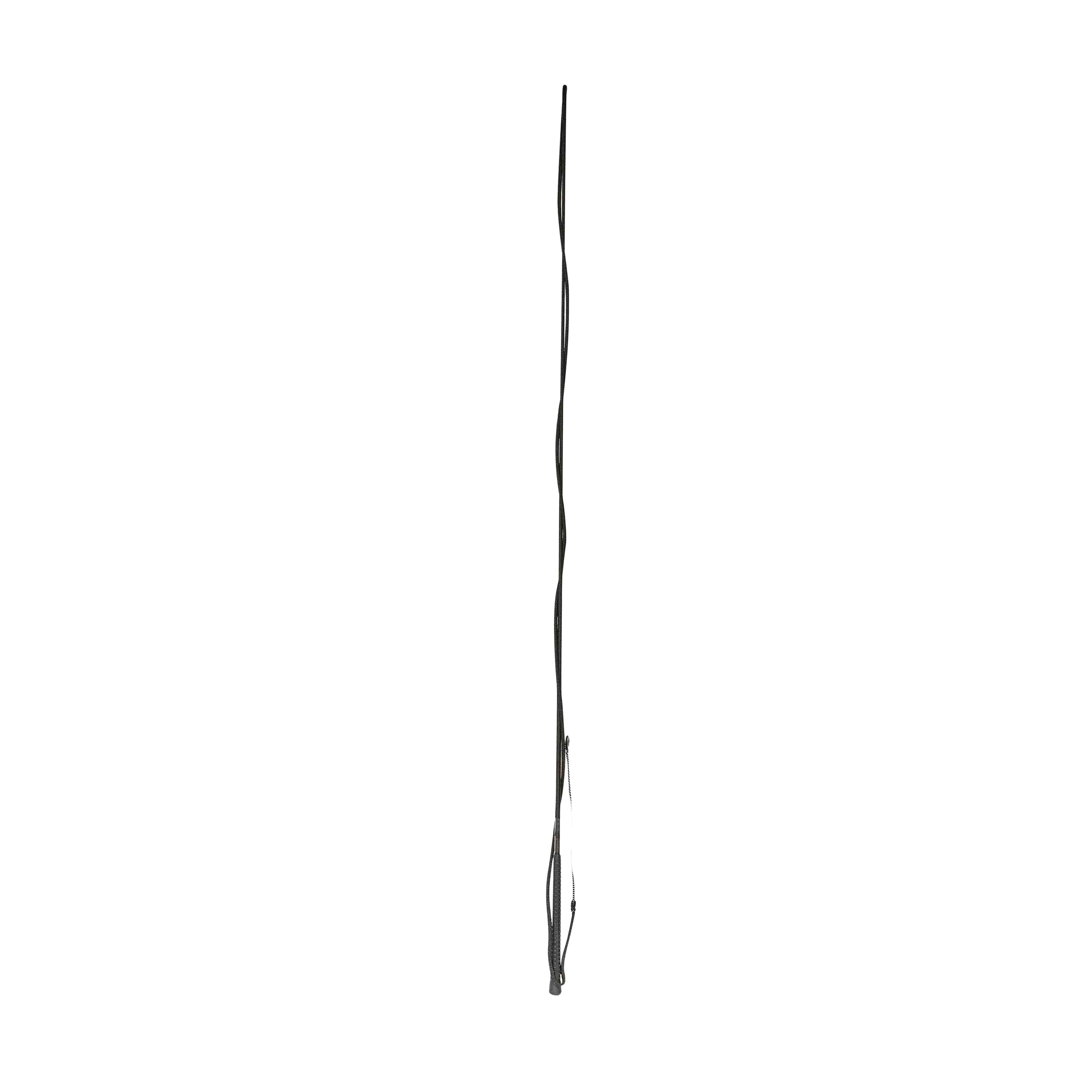 Brights Lunge Whip - Image 2