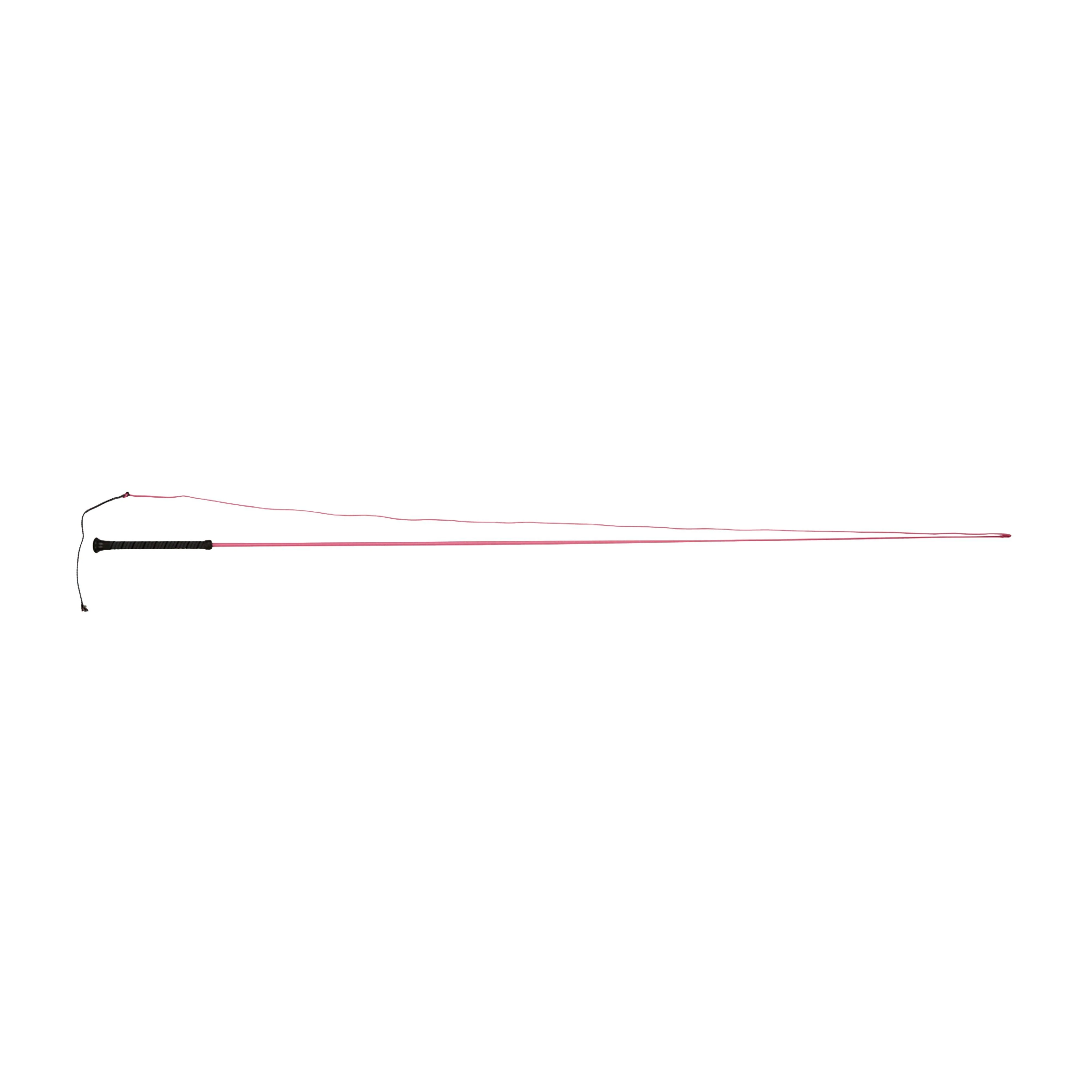 Brights Lunge Whip - Image 2