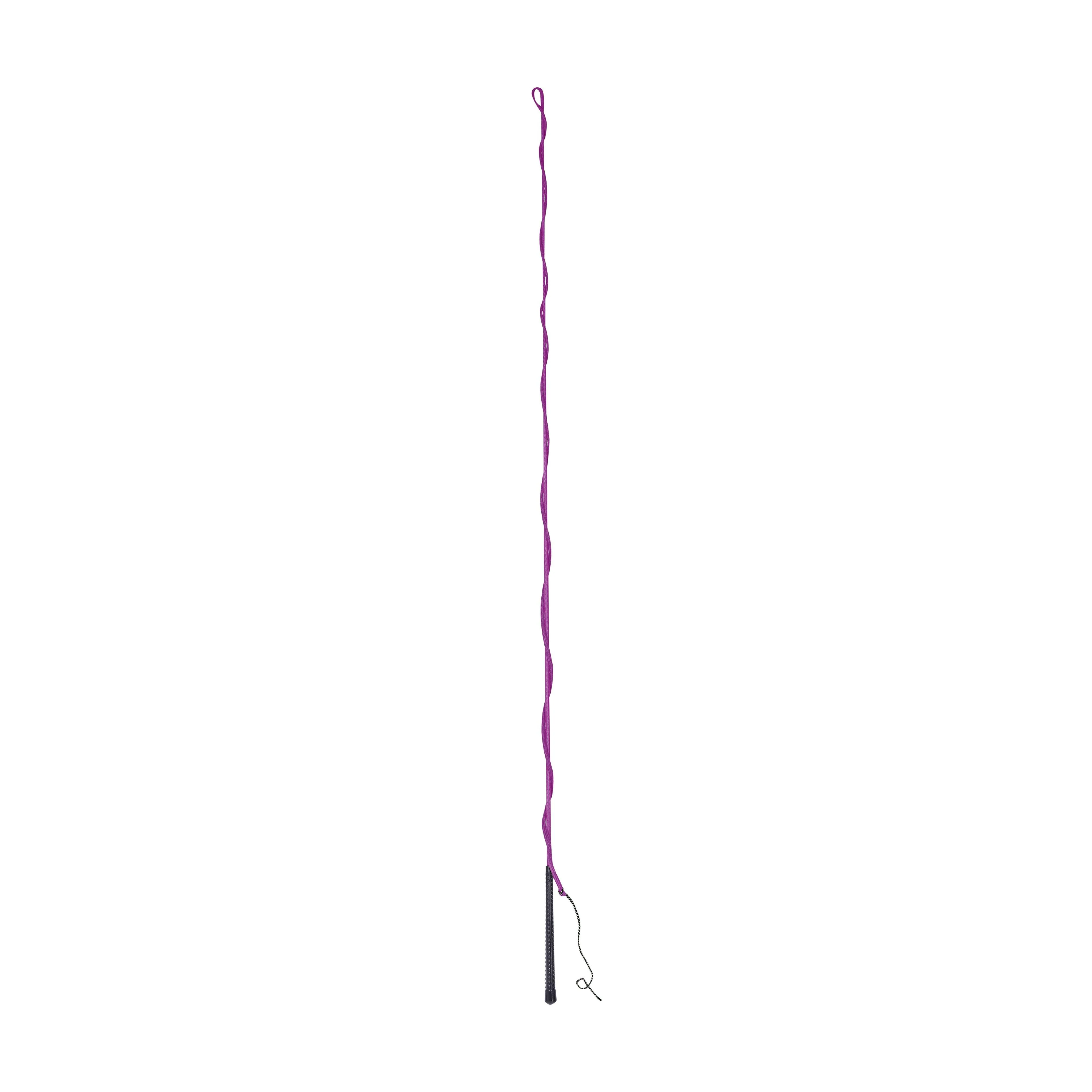 Brights Lunge Whip - Image 2