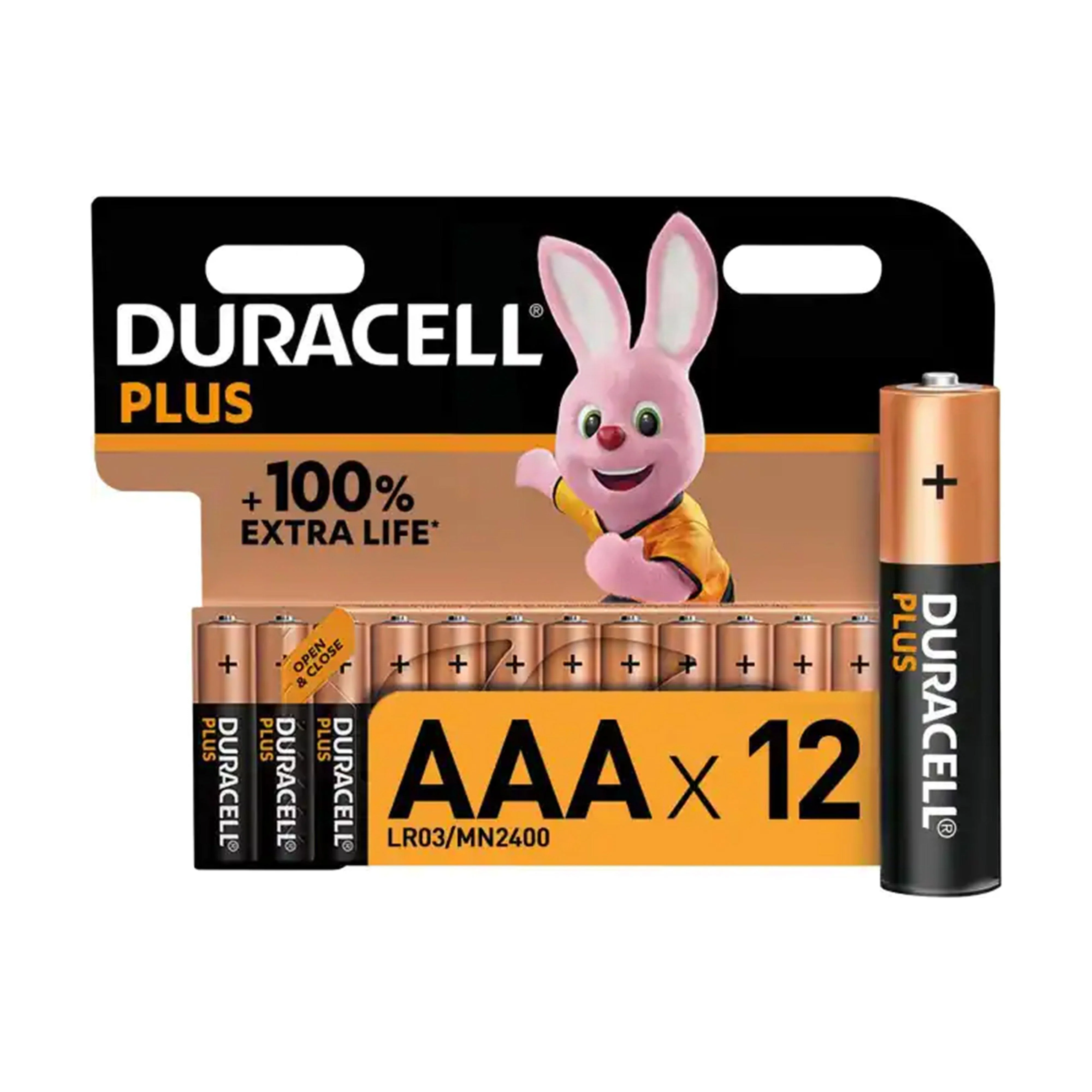 AAA Plus 100 Batteries (12 pack) - Image 2