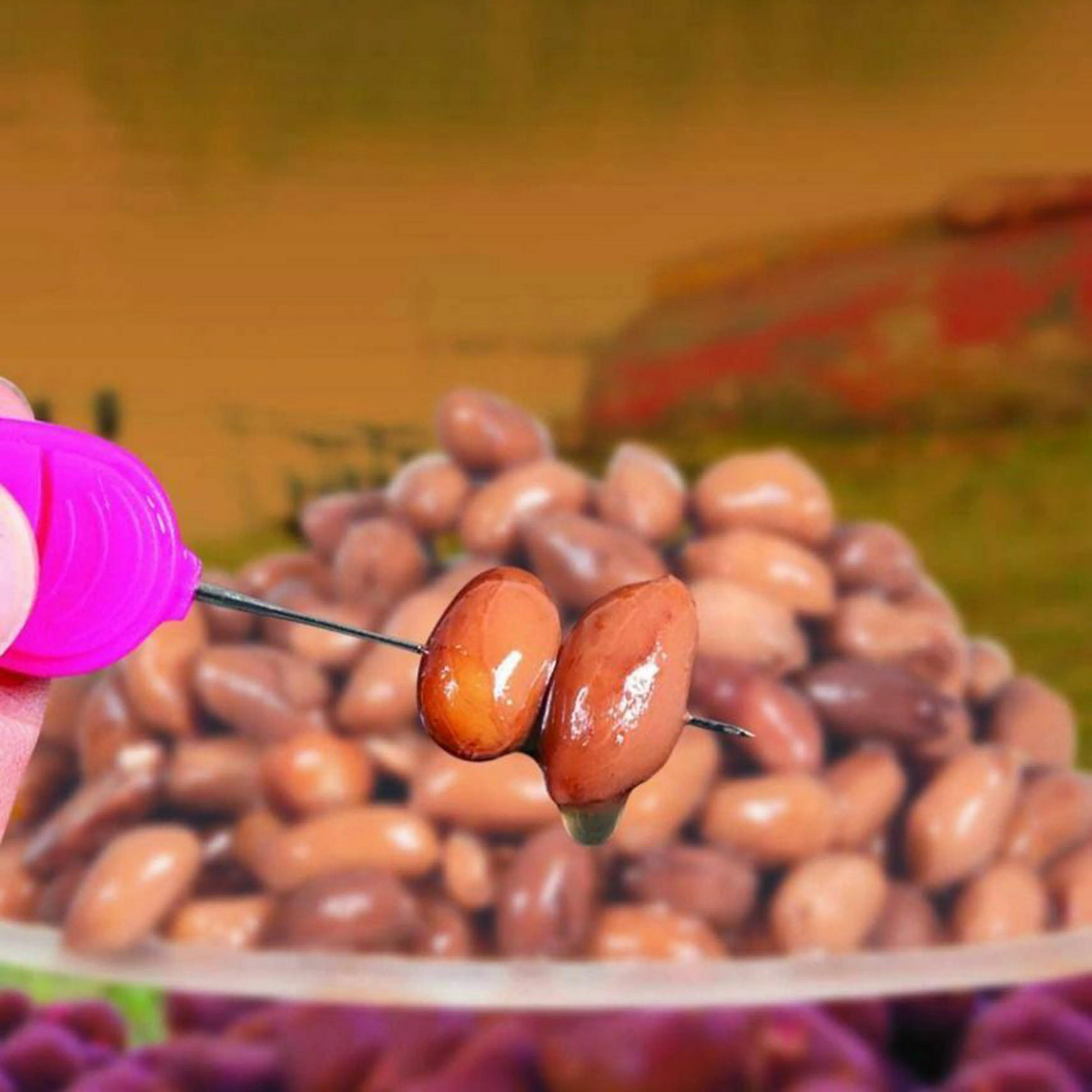 Jumbo Tiger Nuts (500ml) - Image 3