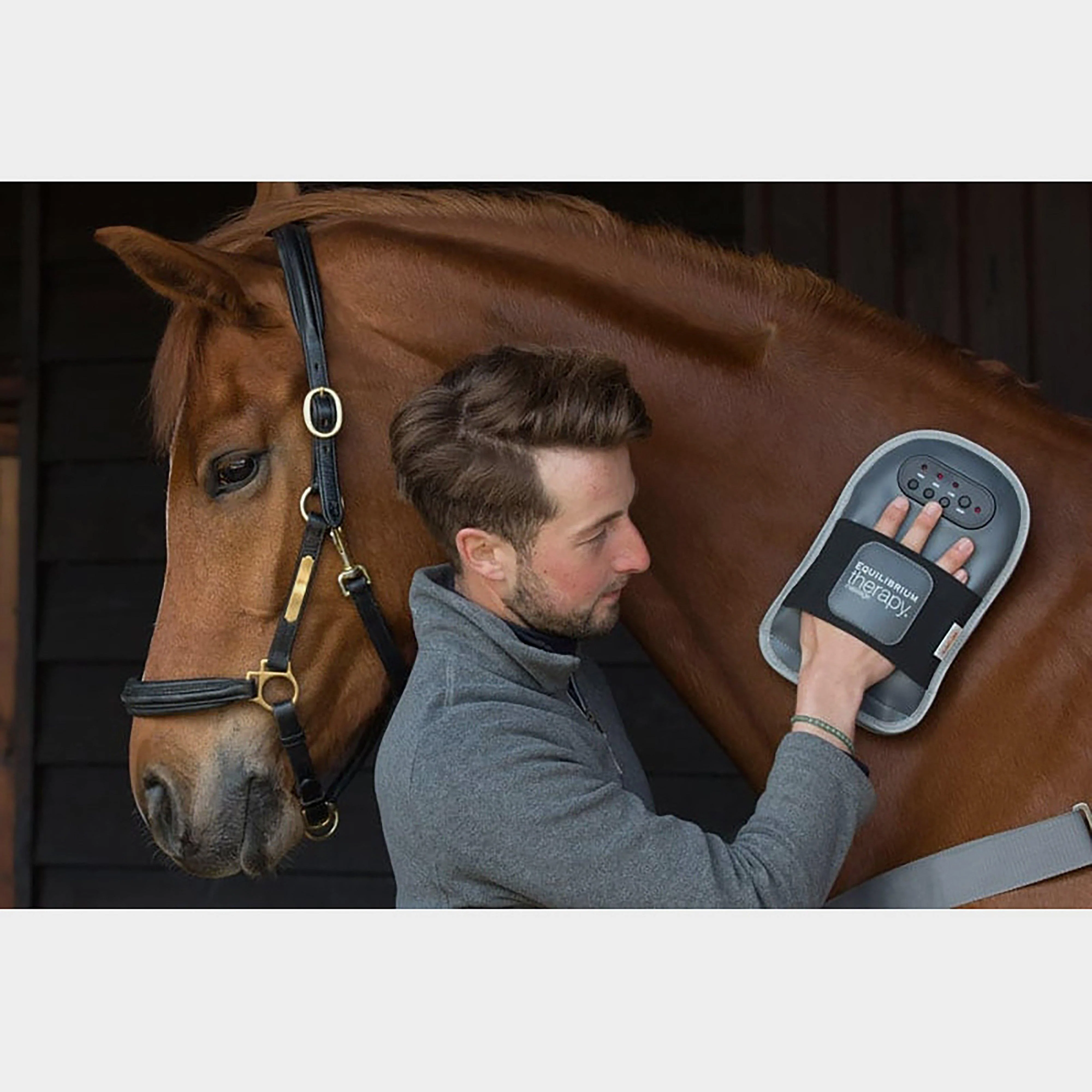 Equilibrium Massage Pad - Image 3
