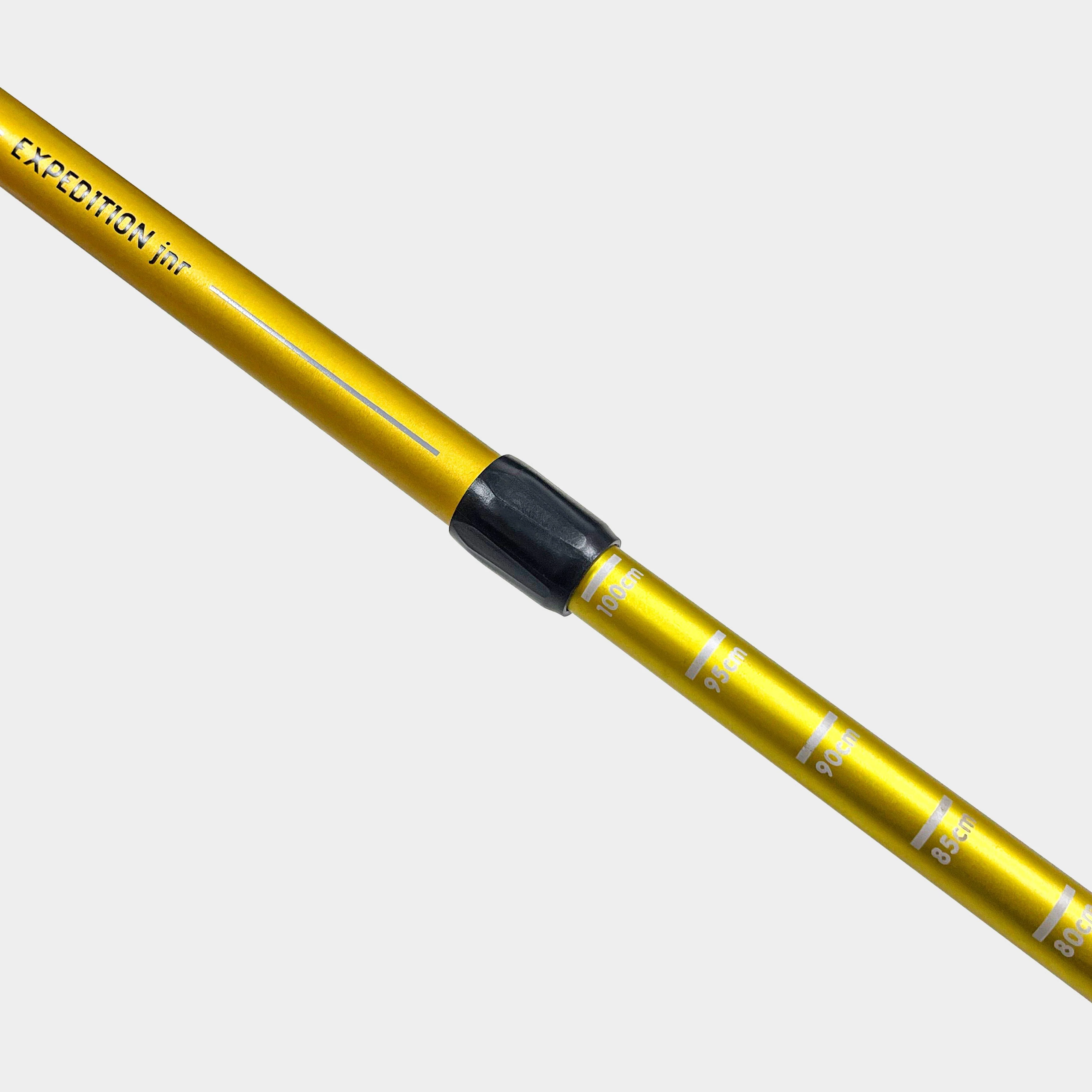 Expedition Junior Walking Pole - Image 4