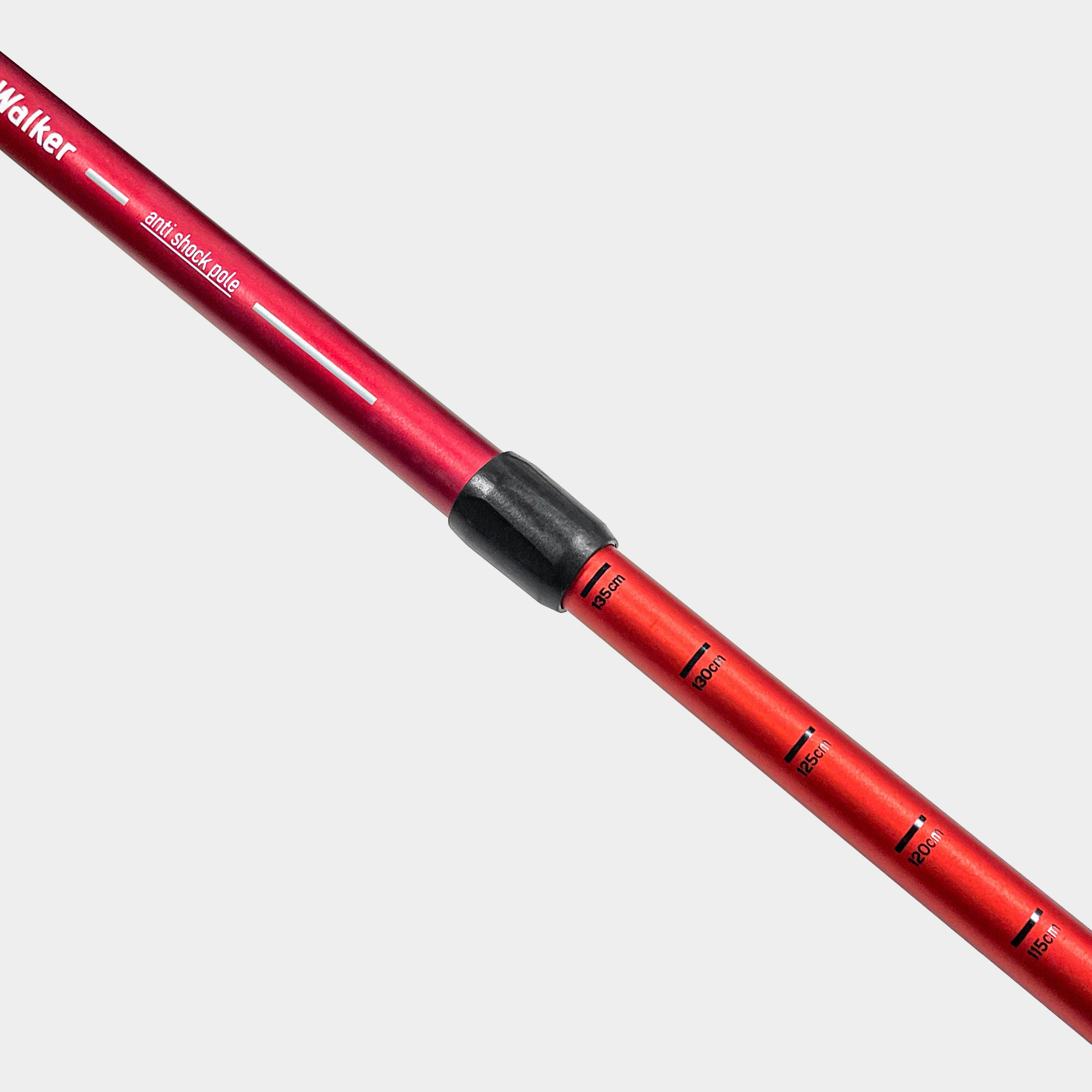 Expedition Walking Pole - Image 4