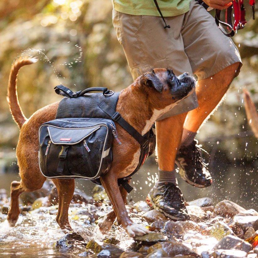 Summit Dog Backpack (L) - Image 3