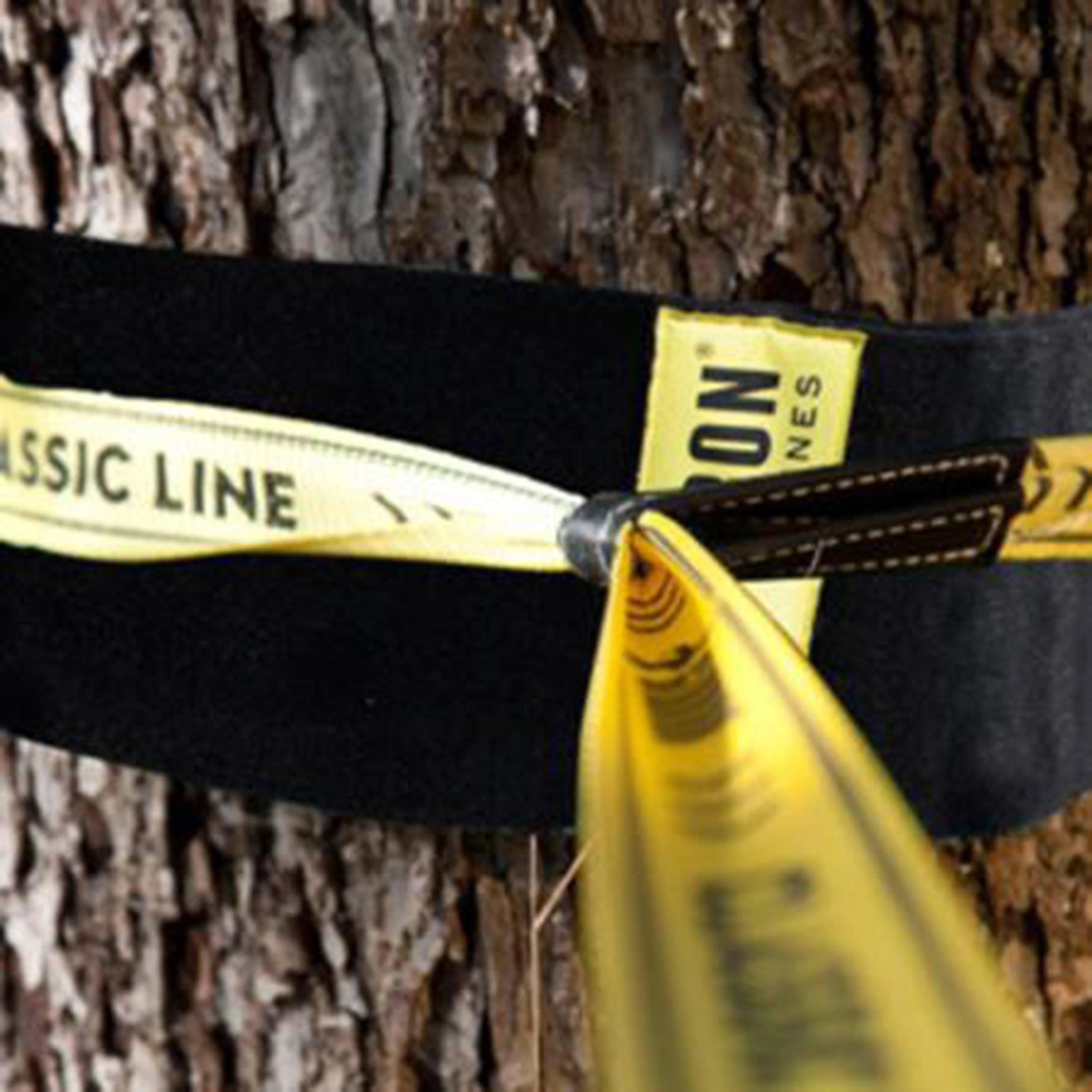 Tree Wear - Image 2