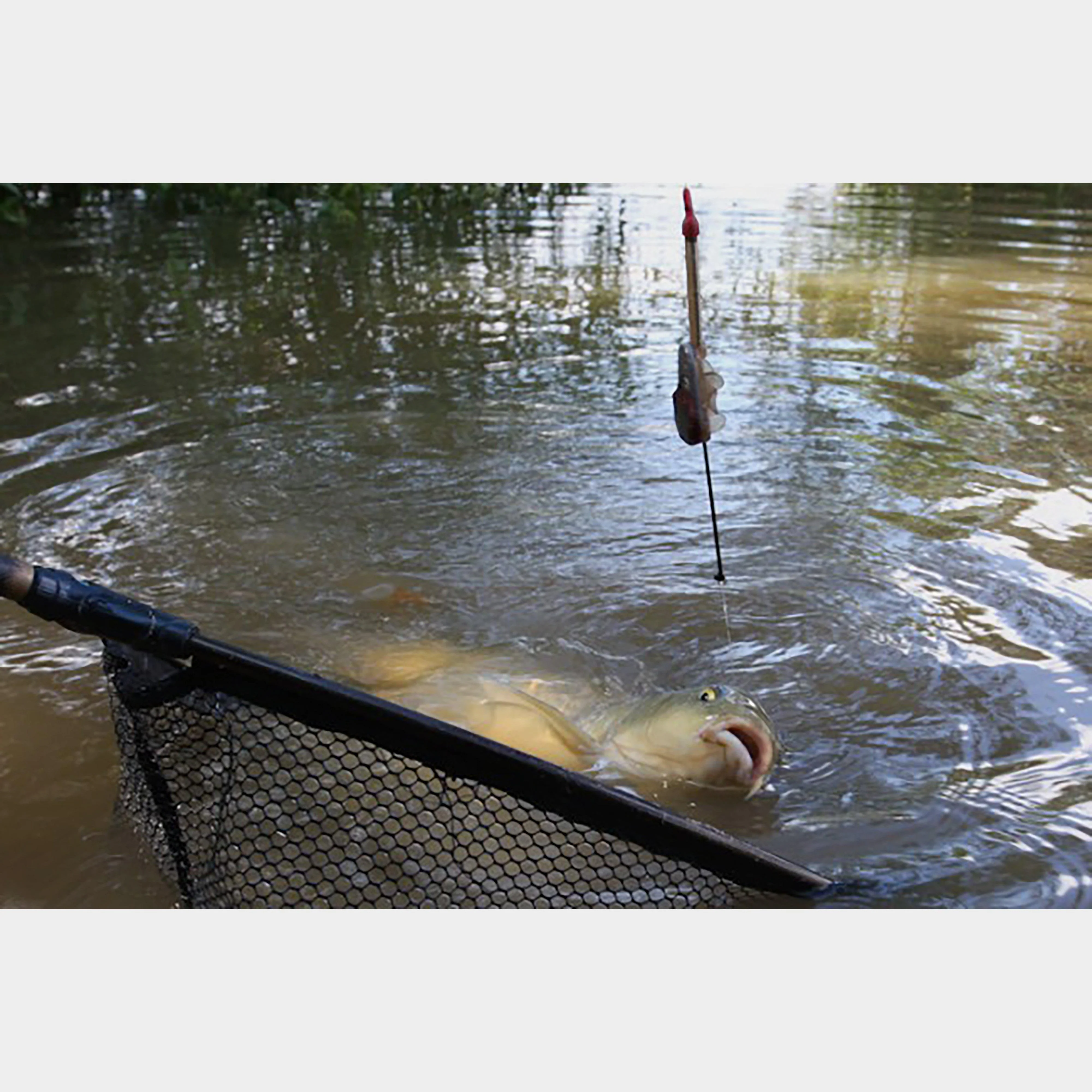 X Safe Method Feeder Large 28g - Image 5