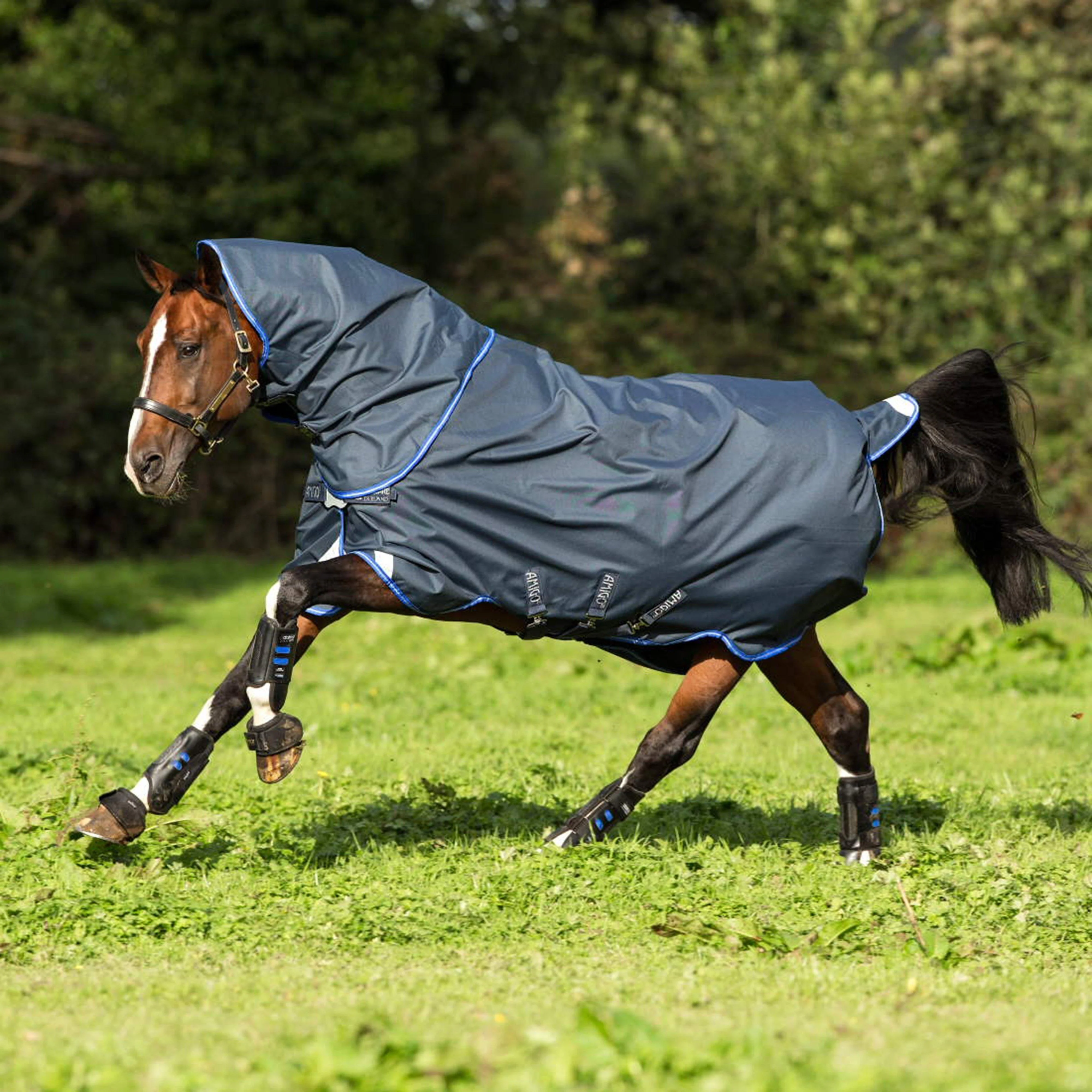 Amigo Bravo 12 Plus Lightweight Turnout Rug - Image 3