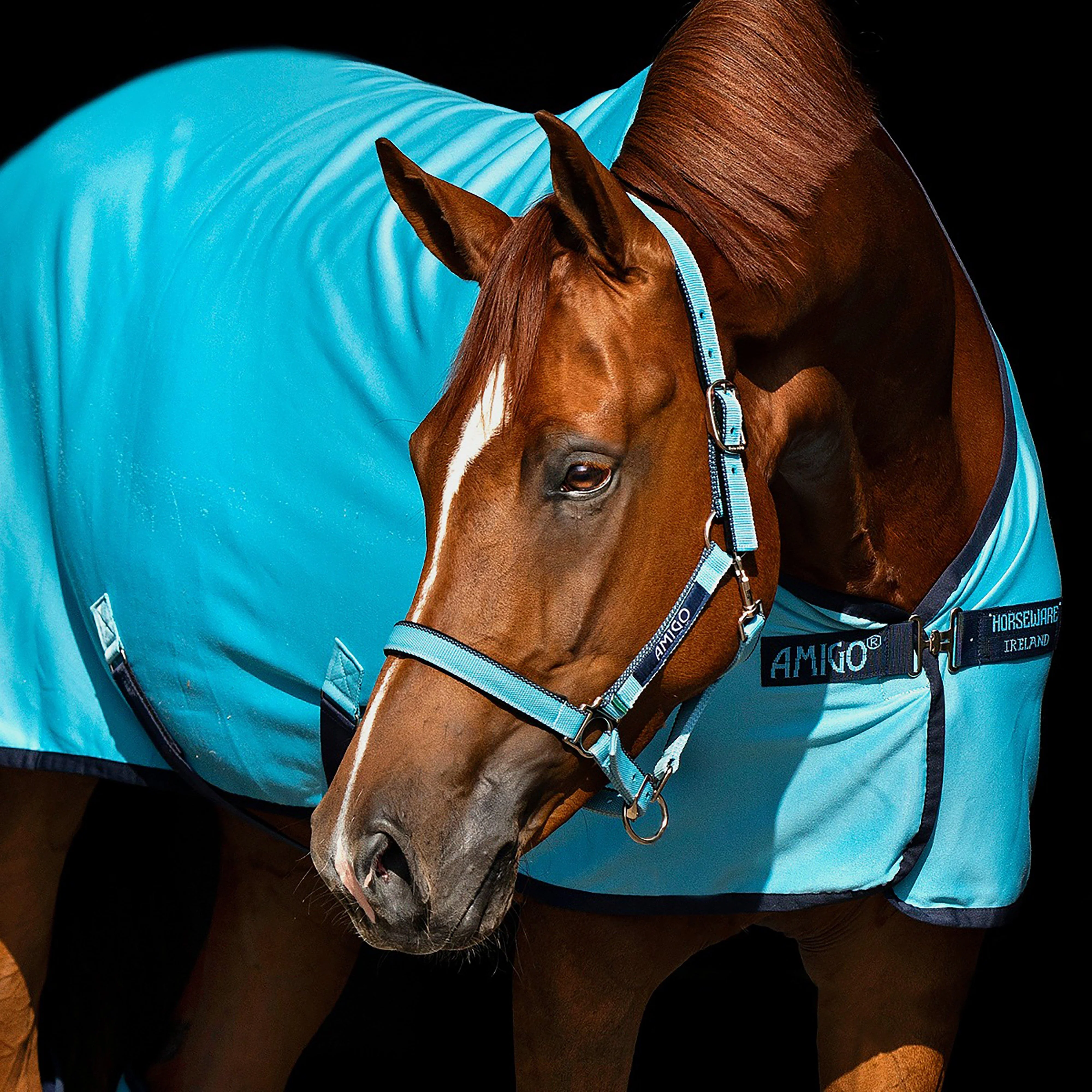 Amigo® Headcollar - Image 3
