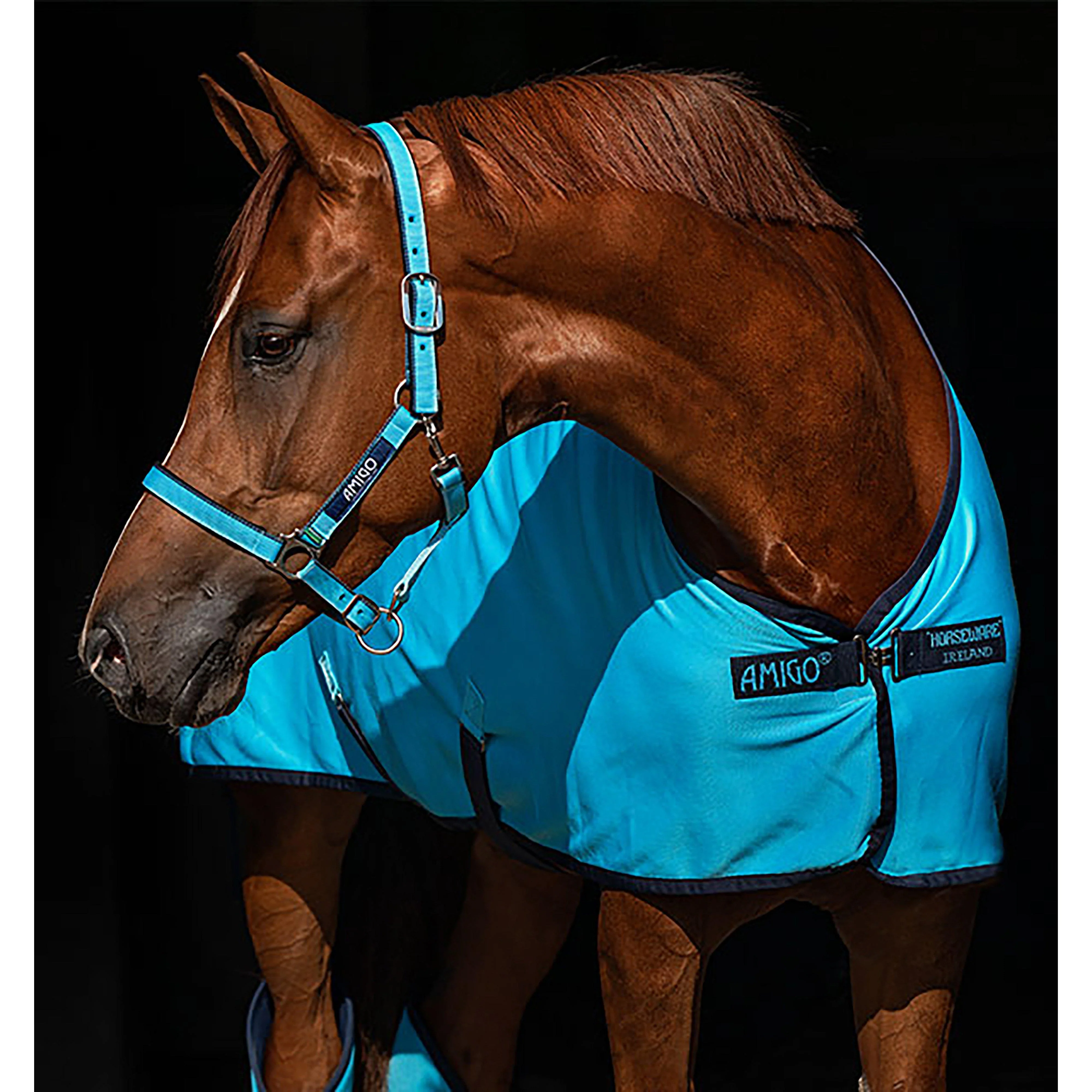 Amigo® Headcollar - Image 5