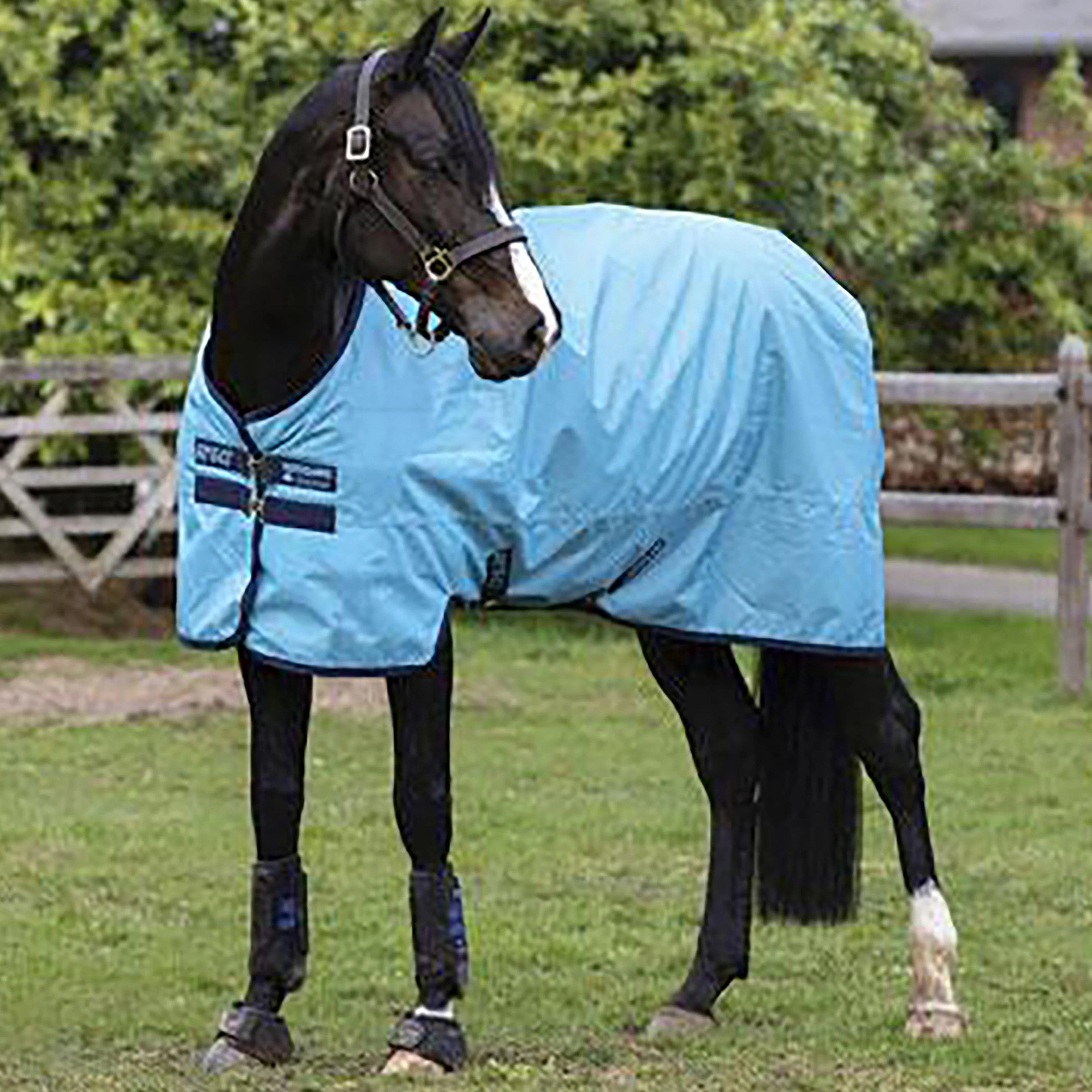 Amigo® Hero Ripstop Lite 0g Lightweight Turnout Rug - Image 2