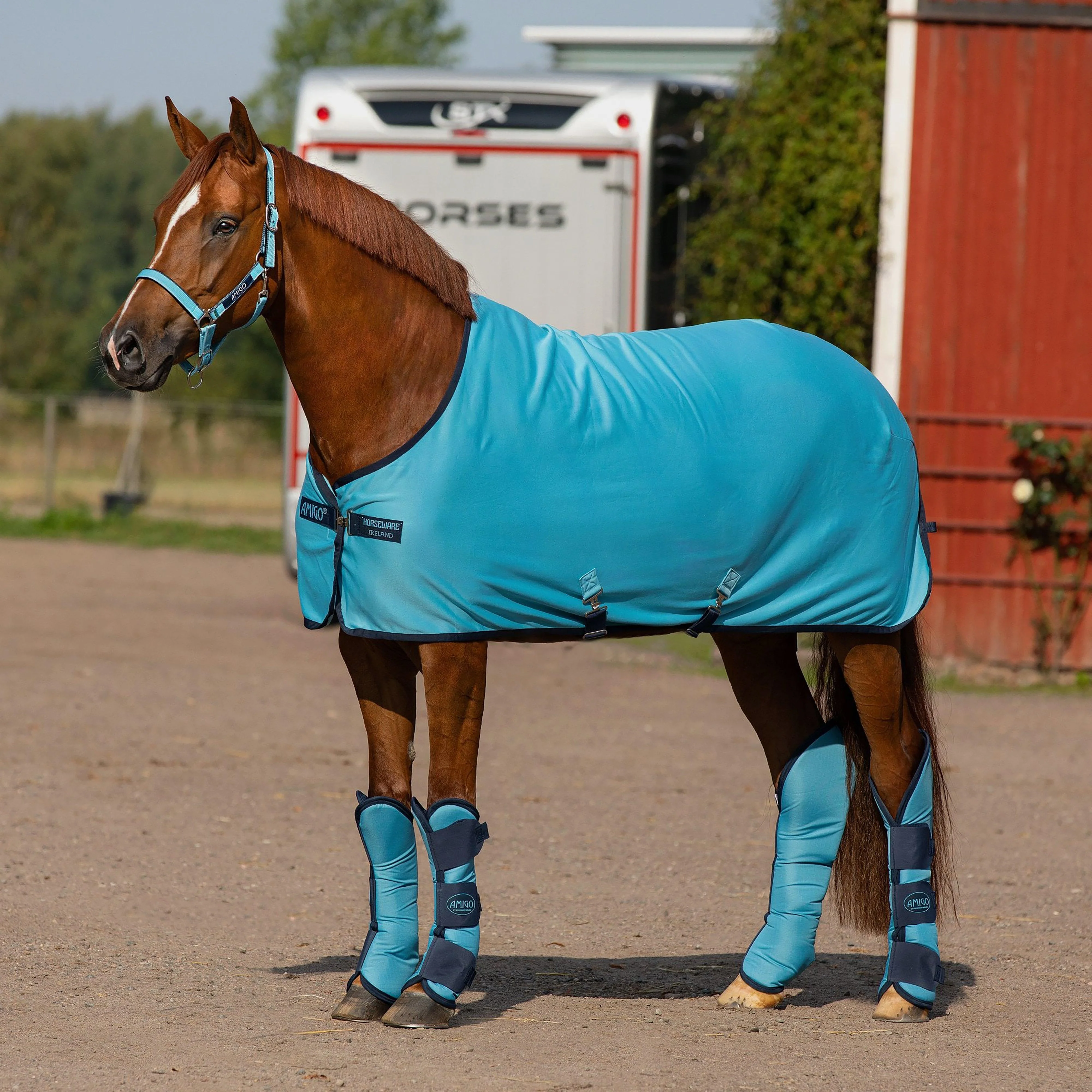 Amigo Jersey Cooler - Image 2