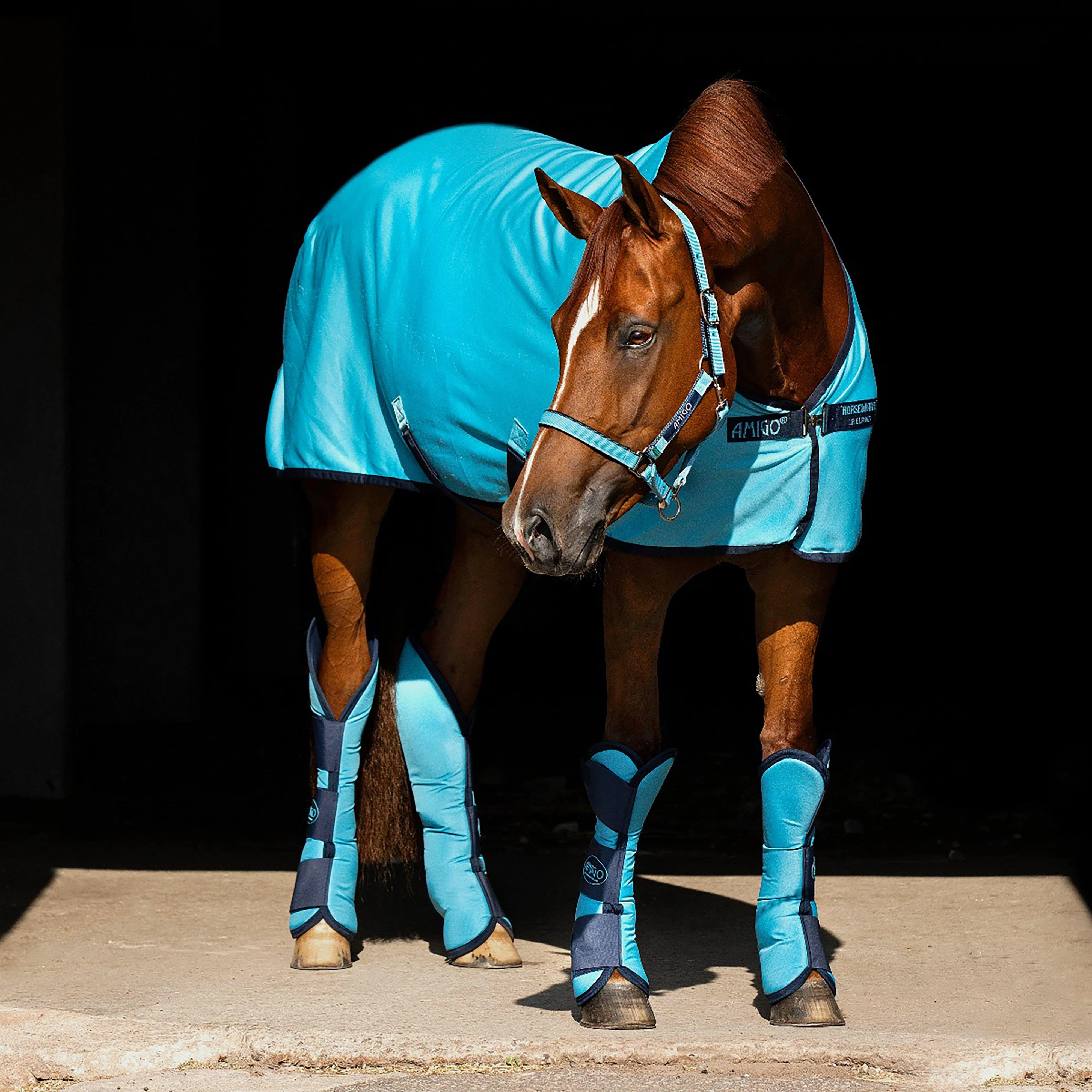 Amigo Jersey Cooler - Image 3