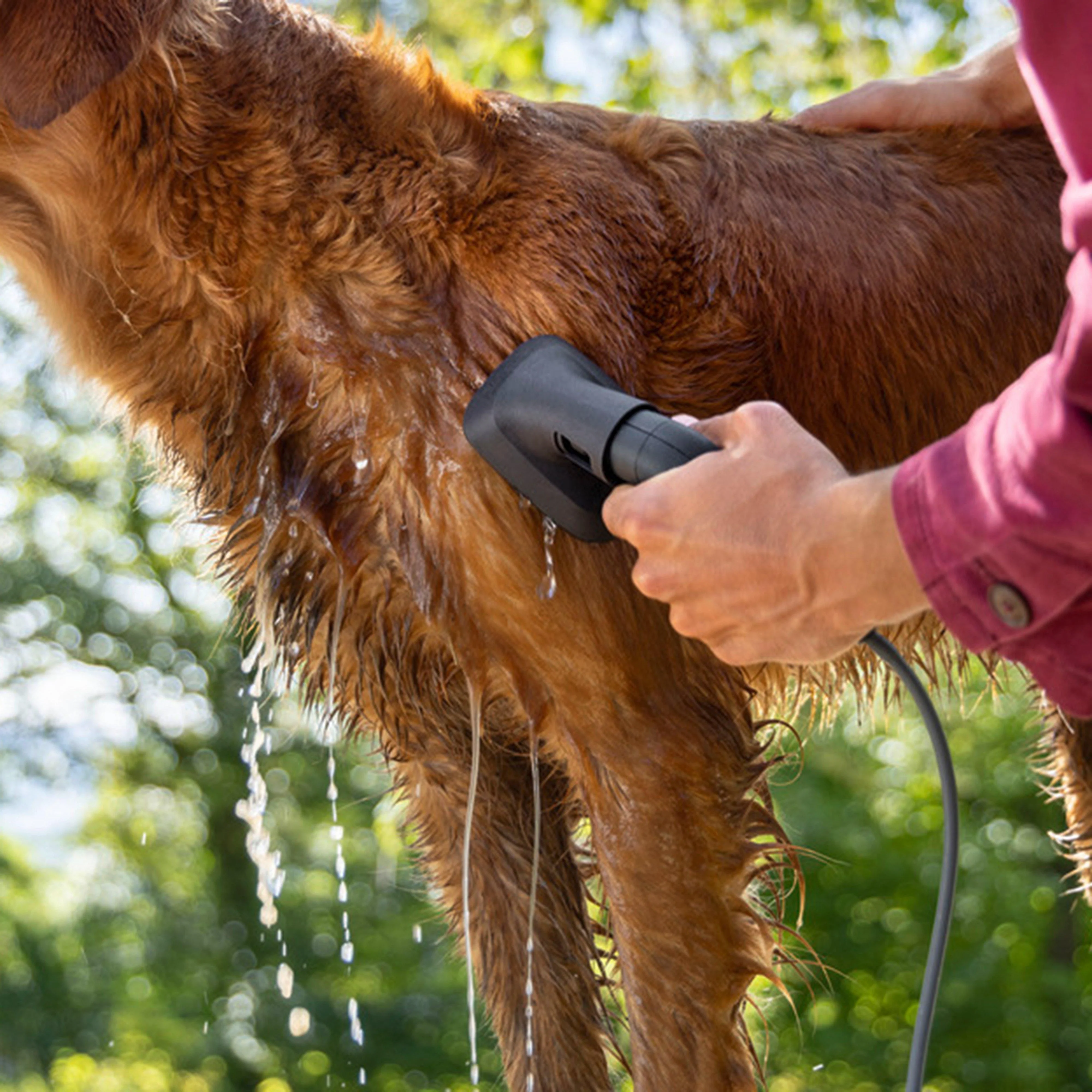 Pet Wash Brush - Image 4