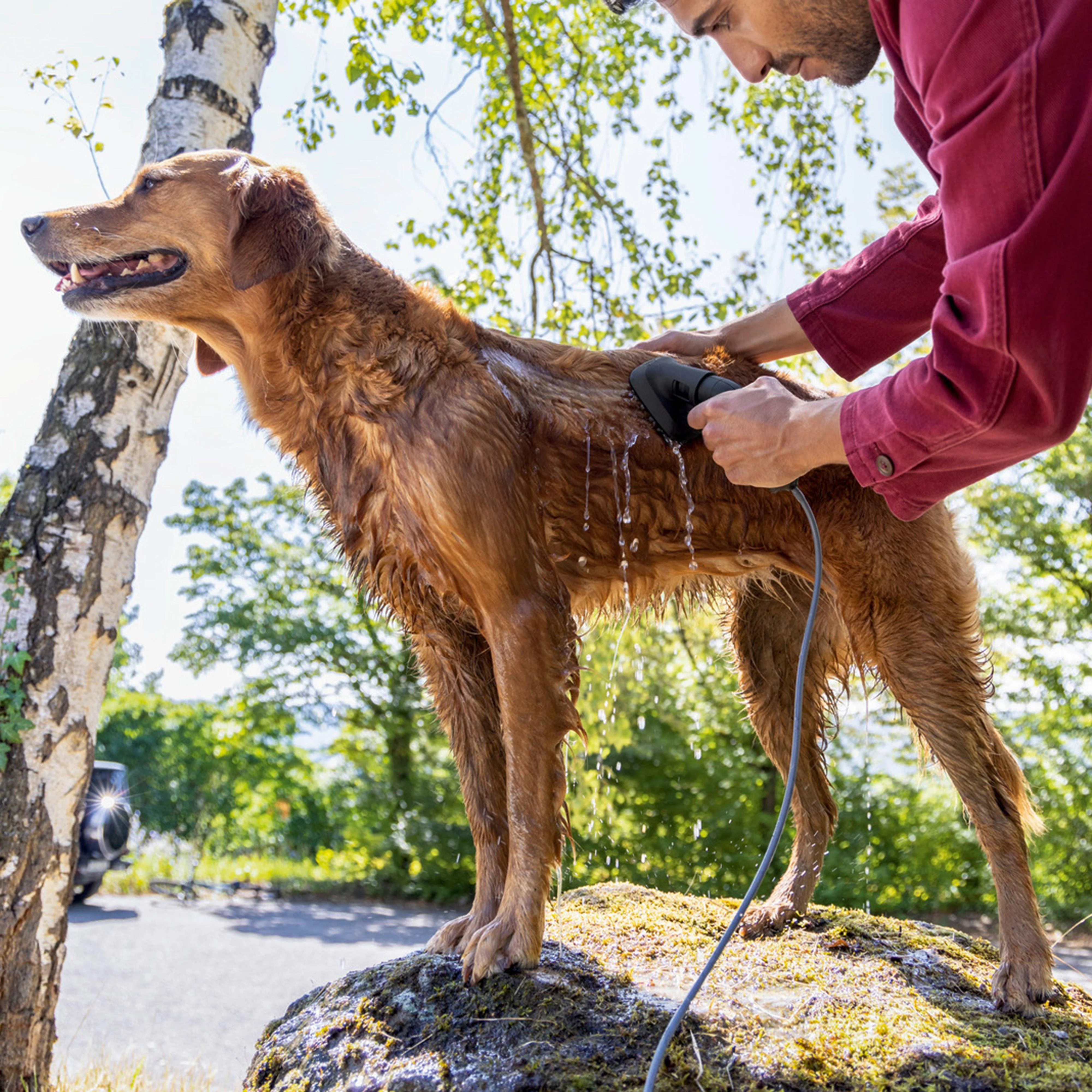 Pet Wash Brush - Image 6