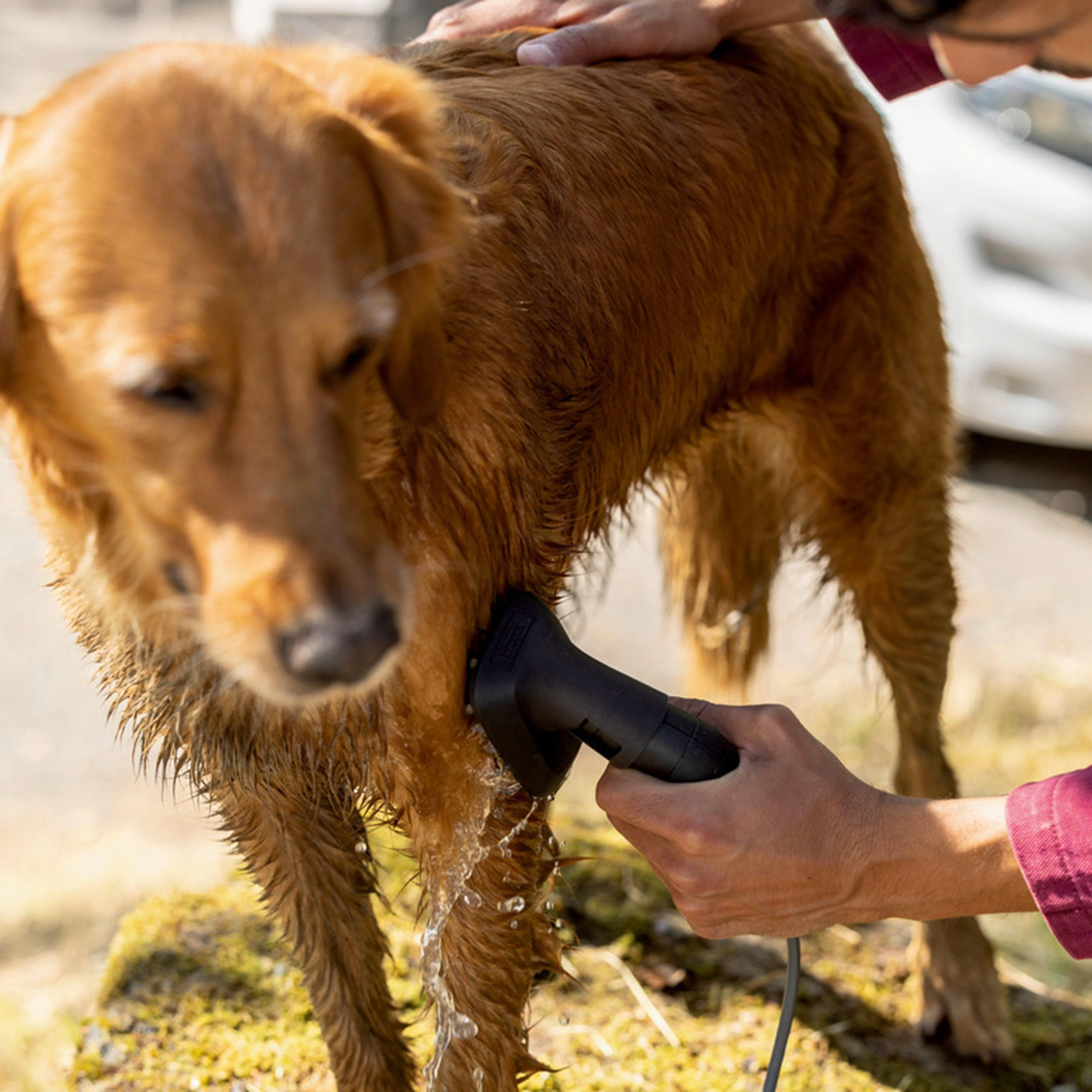 Pet Wash Brush - Image 7