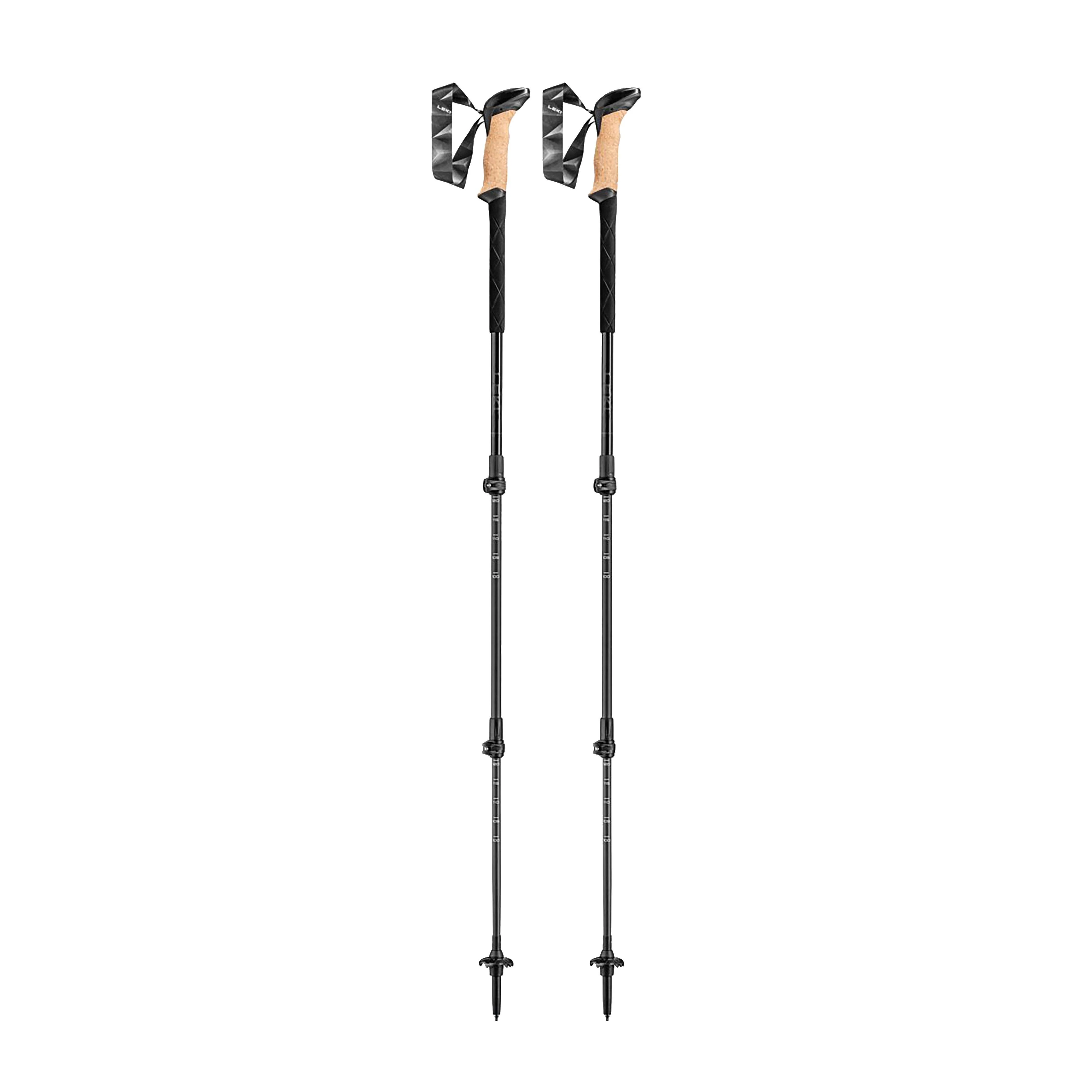 Black Series Carbon Walking Poles - Image 5