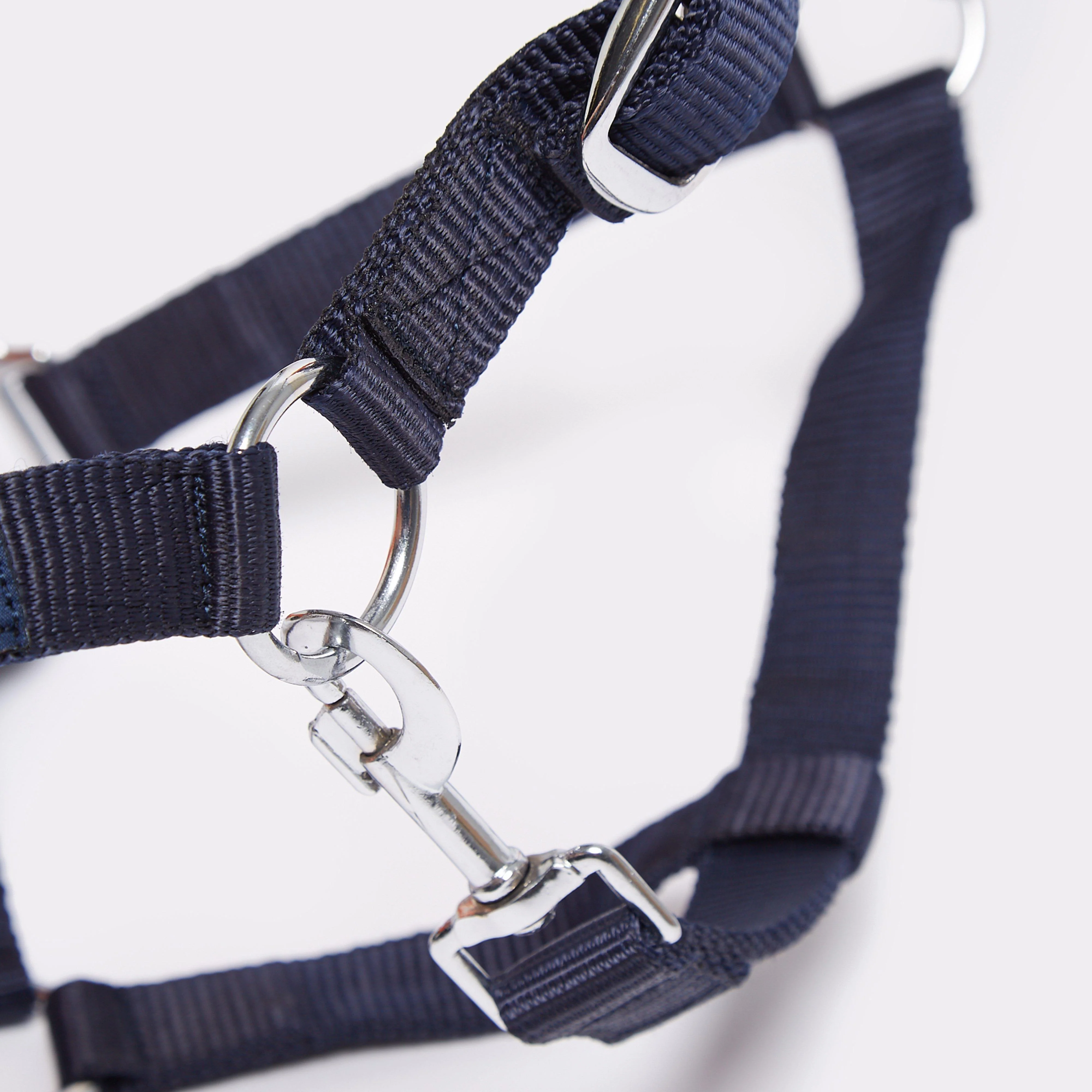 Leadrope - Image 4
