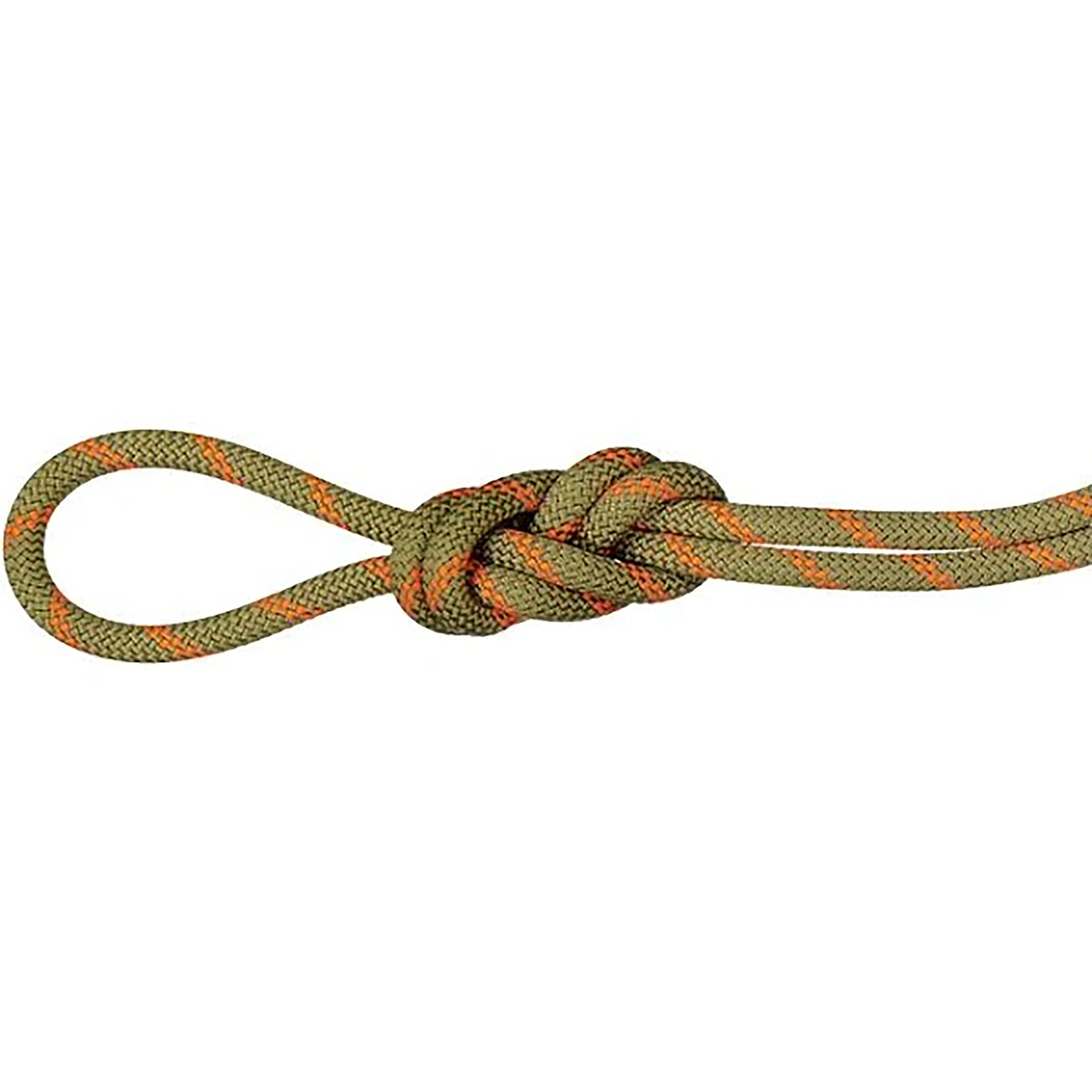 Alpine Dry 8.0 Rope 50m - Image 3
