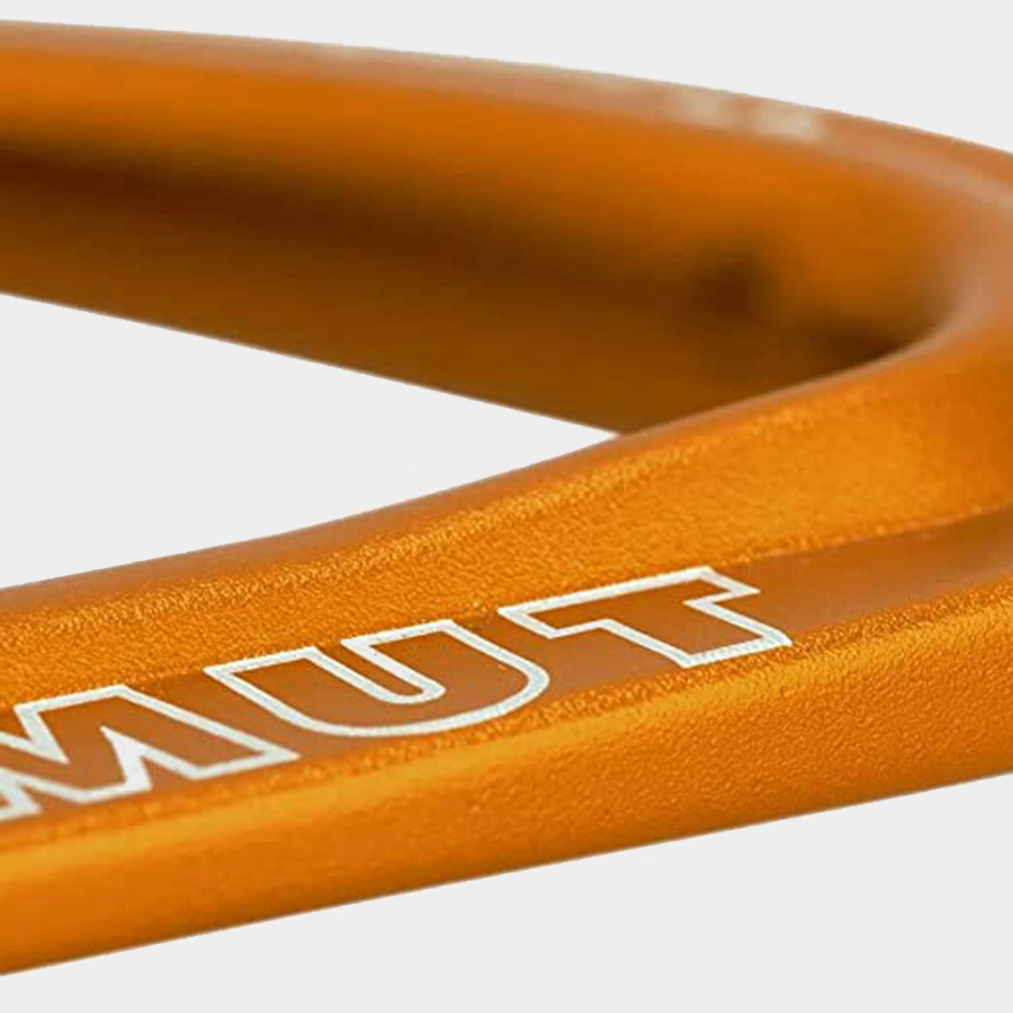 Sender Wire Carabiner - Image 2