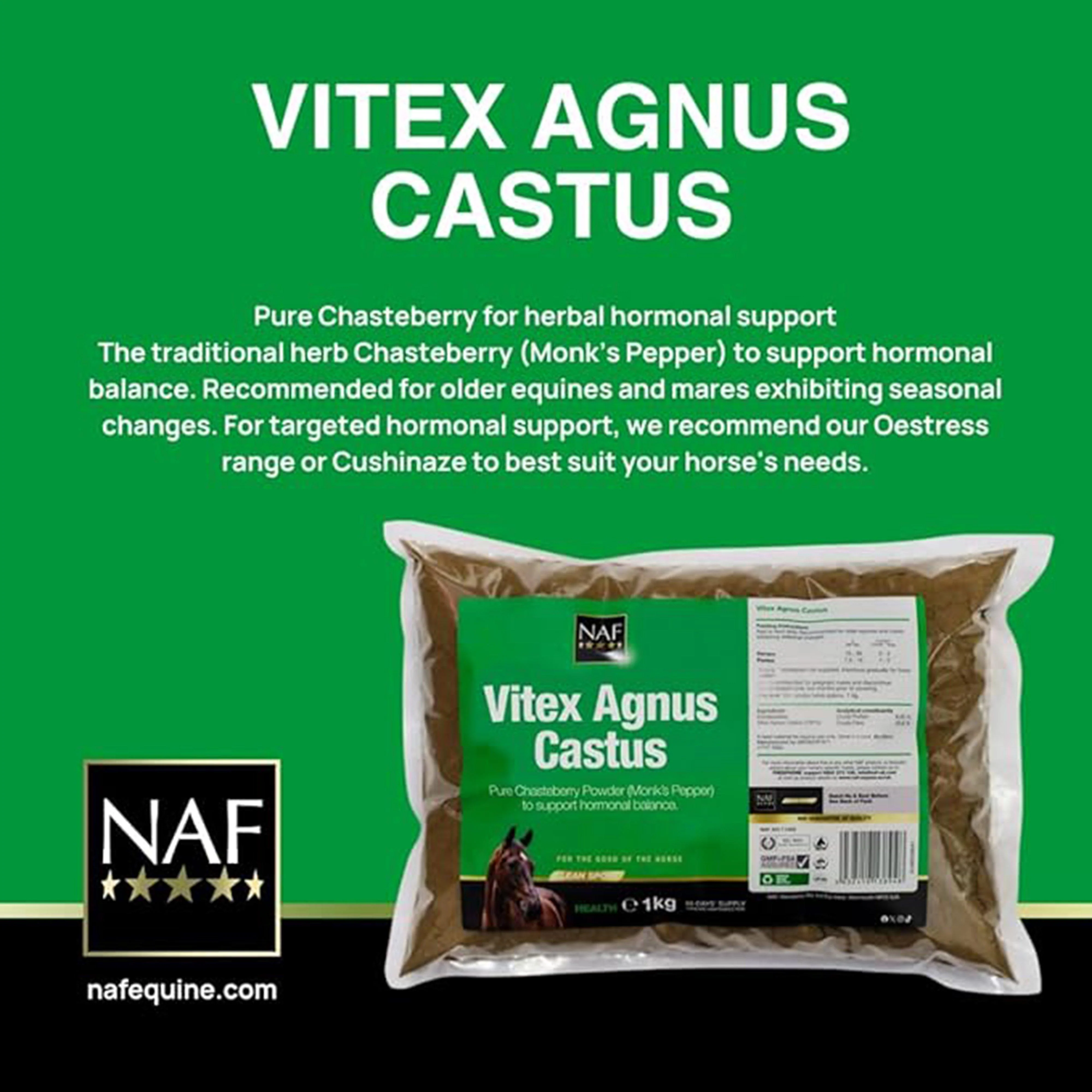 Vitex Angus Castus 1kg - Image 2