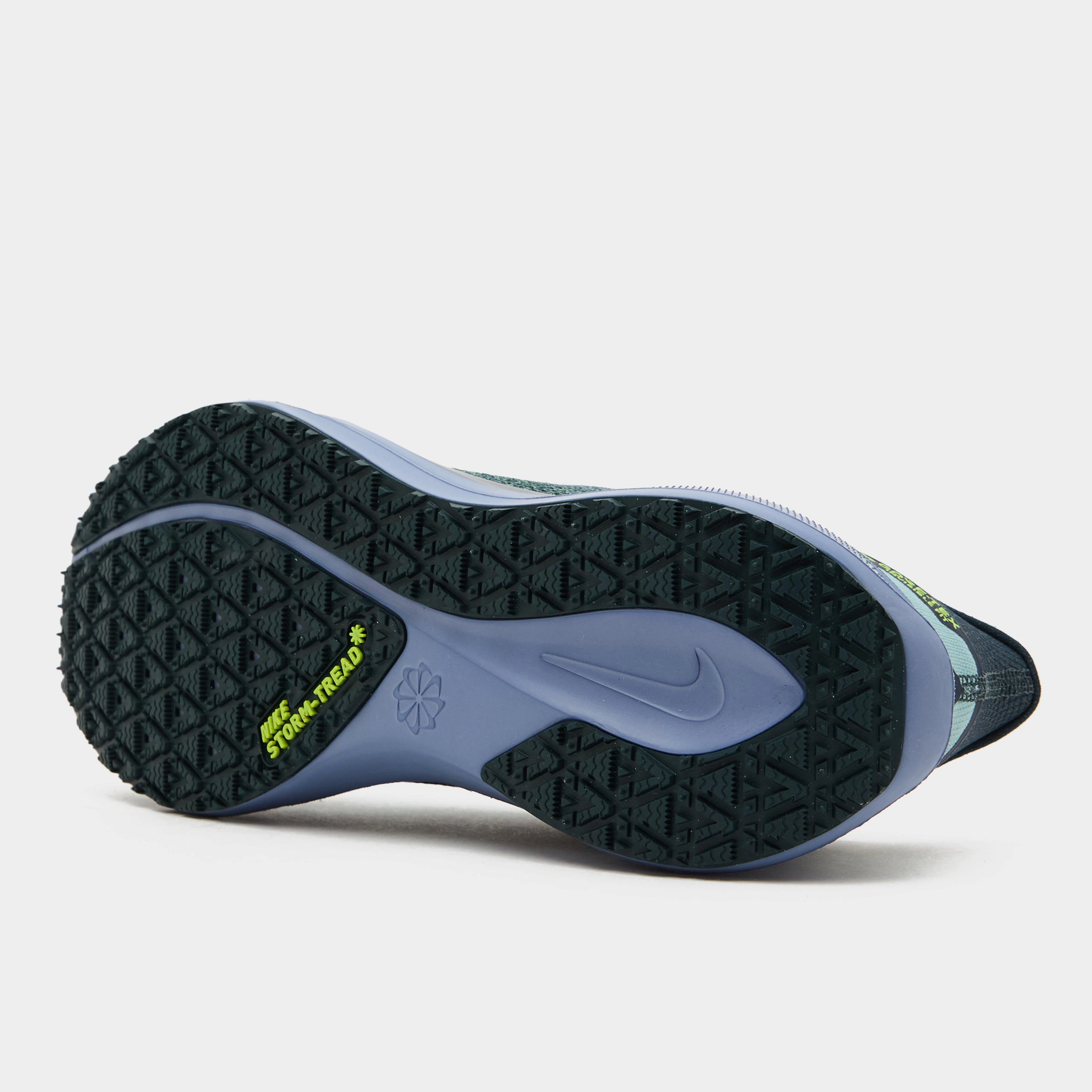 Men’s Pegasus 41 GORE-TEX® Road Running Shoe - Image 2