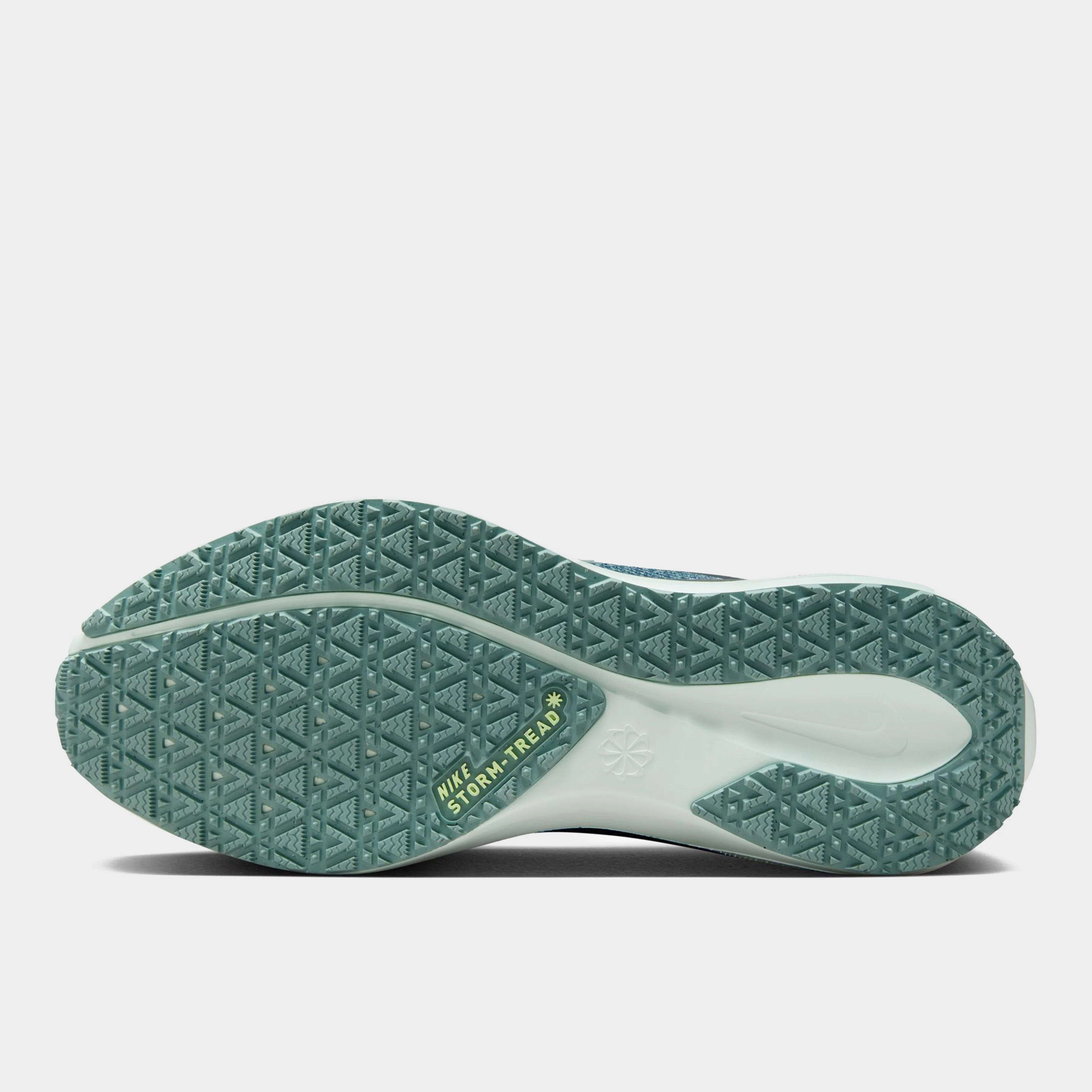 Women’s Pegasus 41 GORE-TEX® Road Running Shoe - Image 2