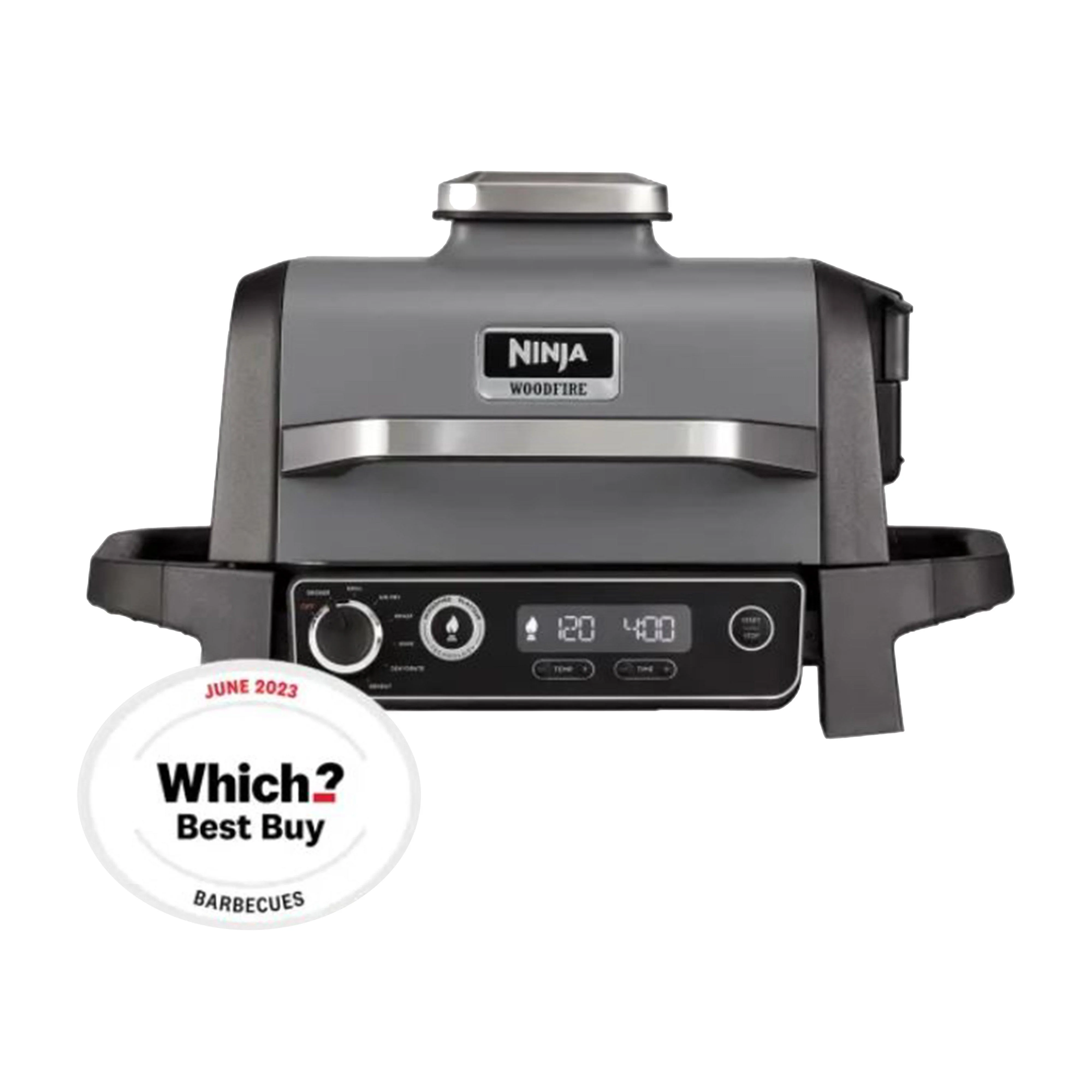 Woodfire Electric BBQ Grill and Smoker - Image 3