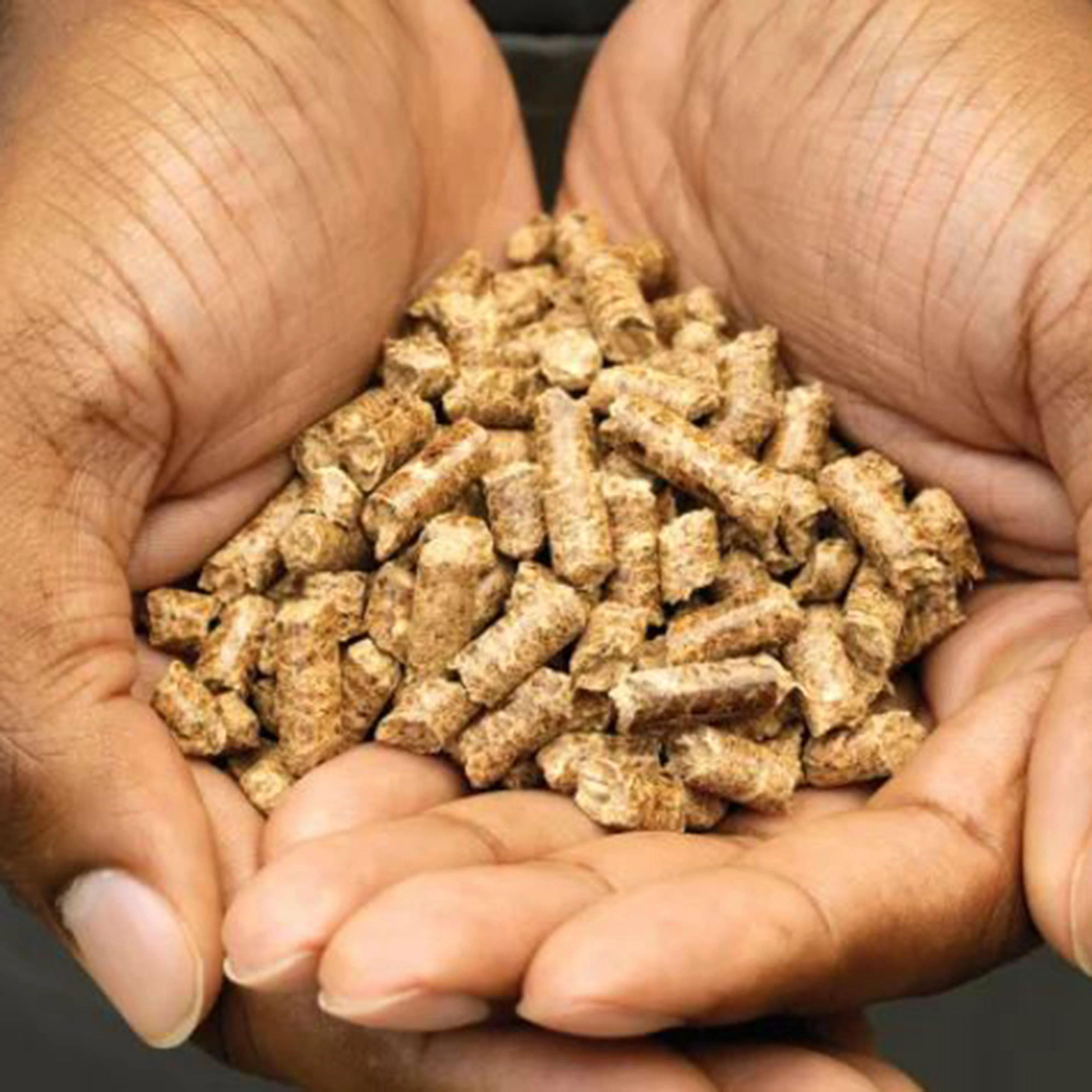 Woodfire Robust Pellets 900g - Image 2