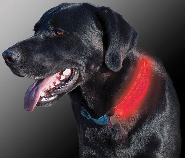 Dawg LED Collar Cover (Grey) - Image 2