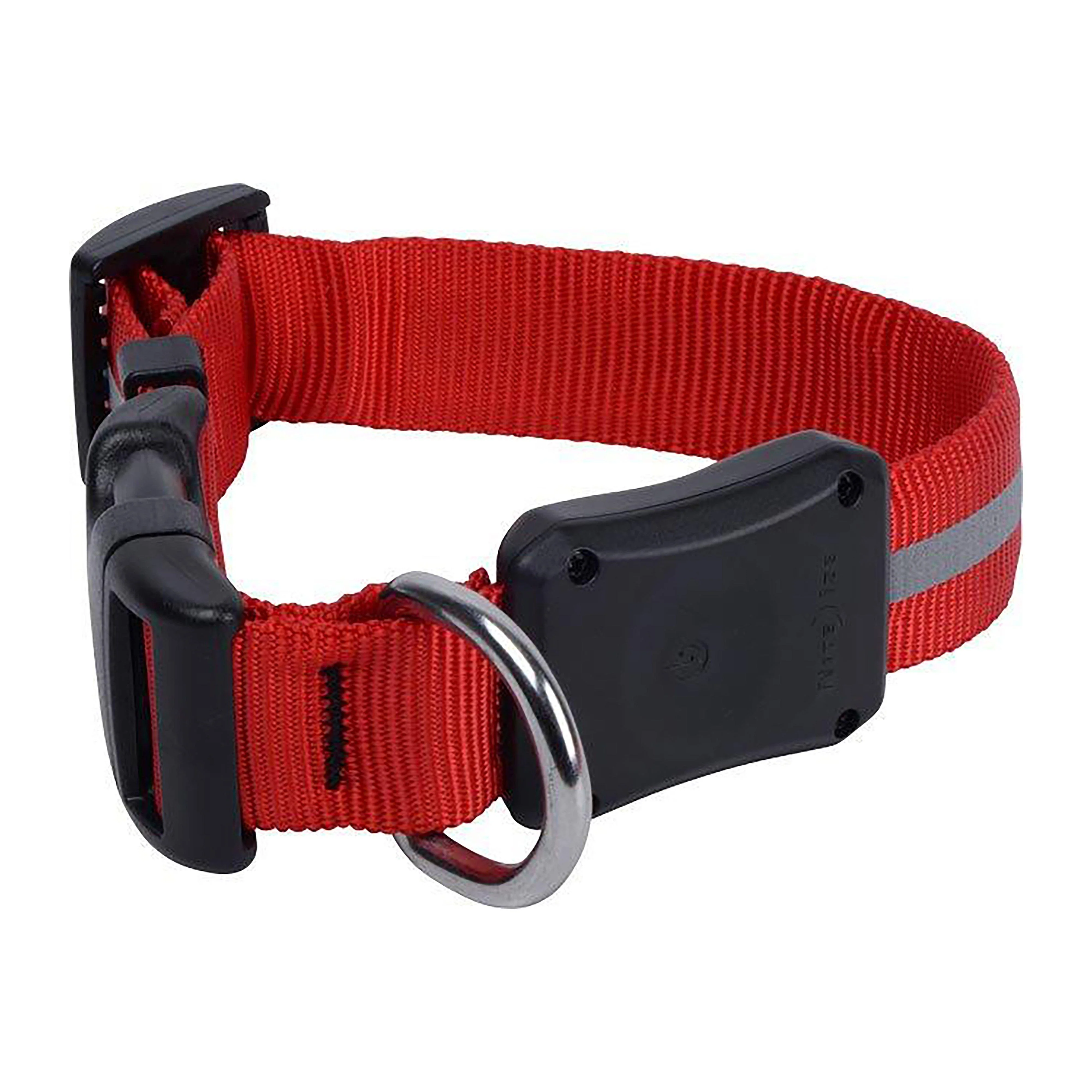 Nite Dawg II LED Collar (Small) - Image 3