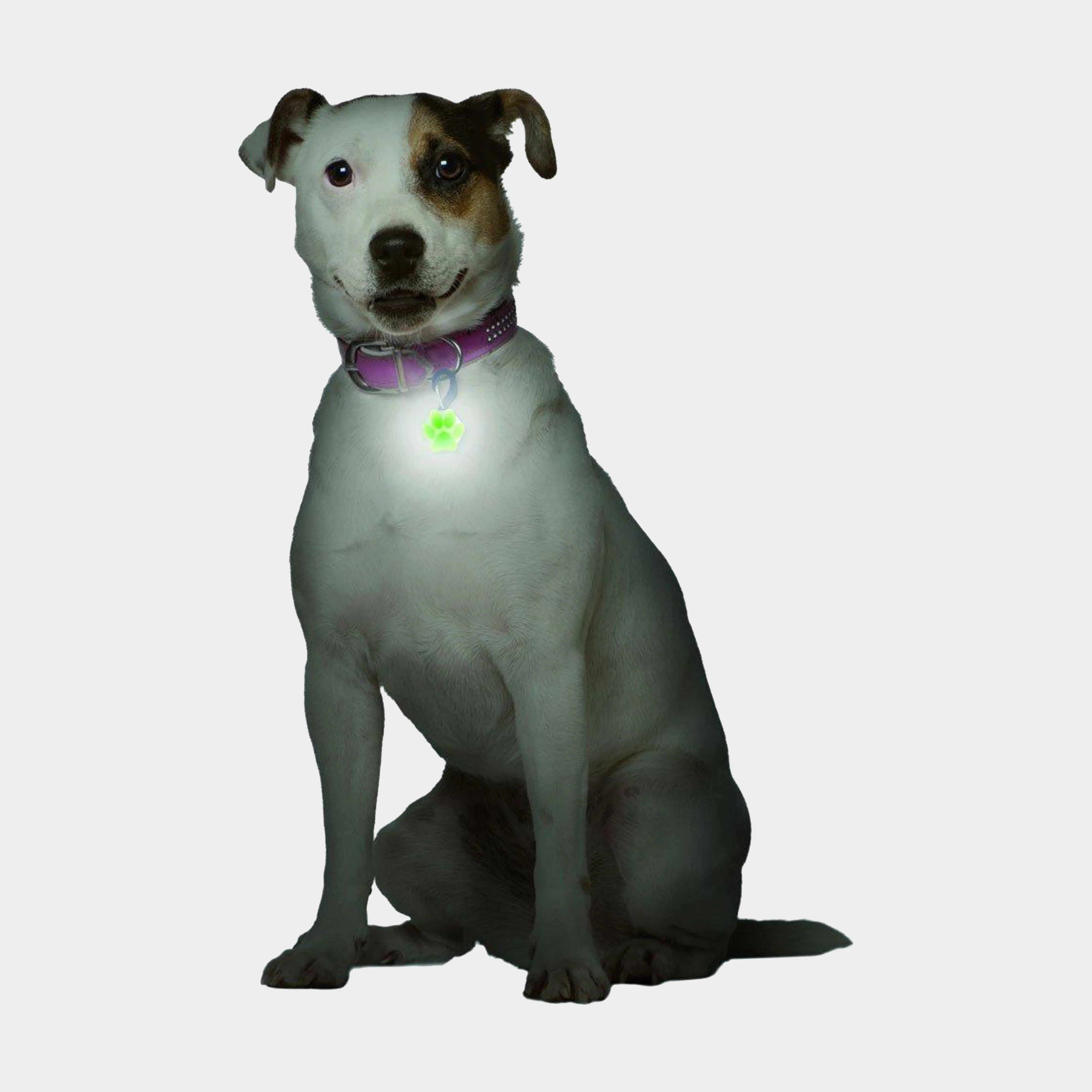 Petlit LED Collar Light (Lime Paw) - Image 2