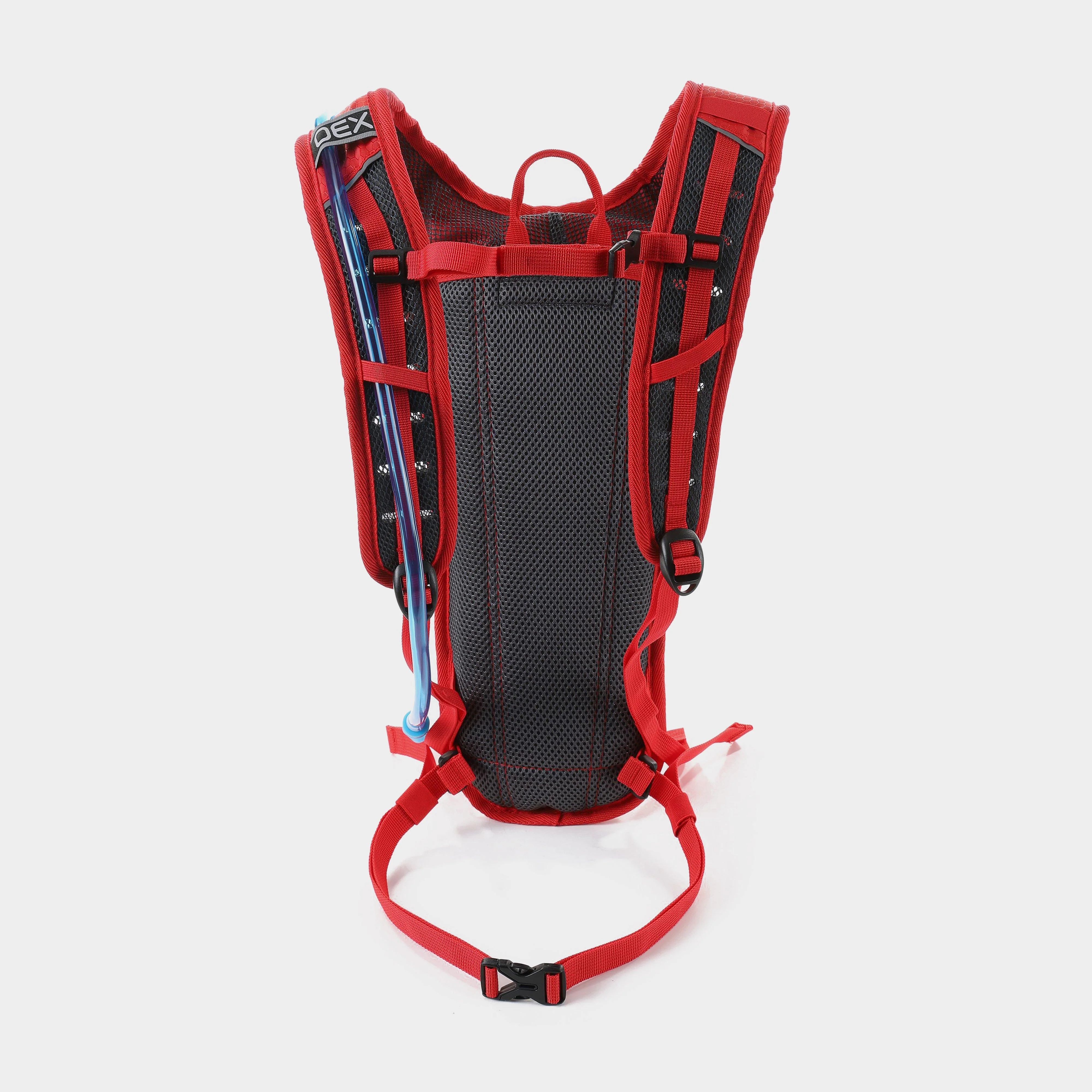 Cactus 3L Daysack - Image 3
