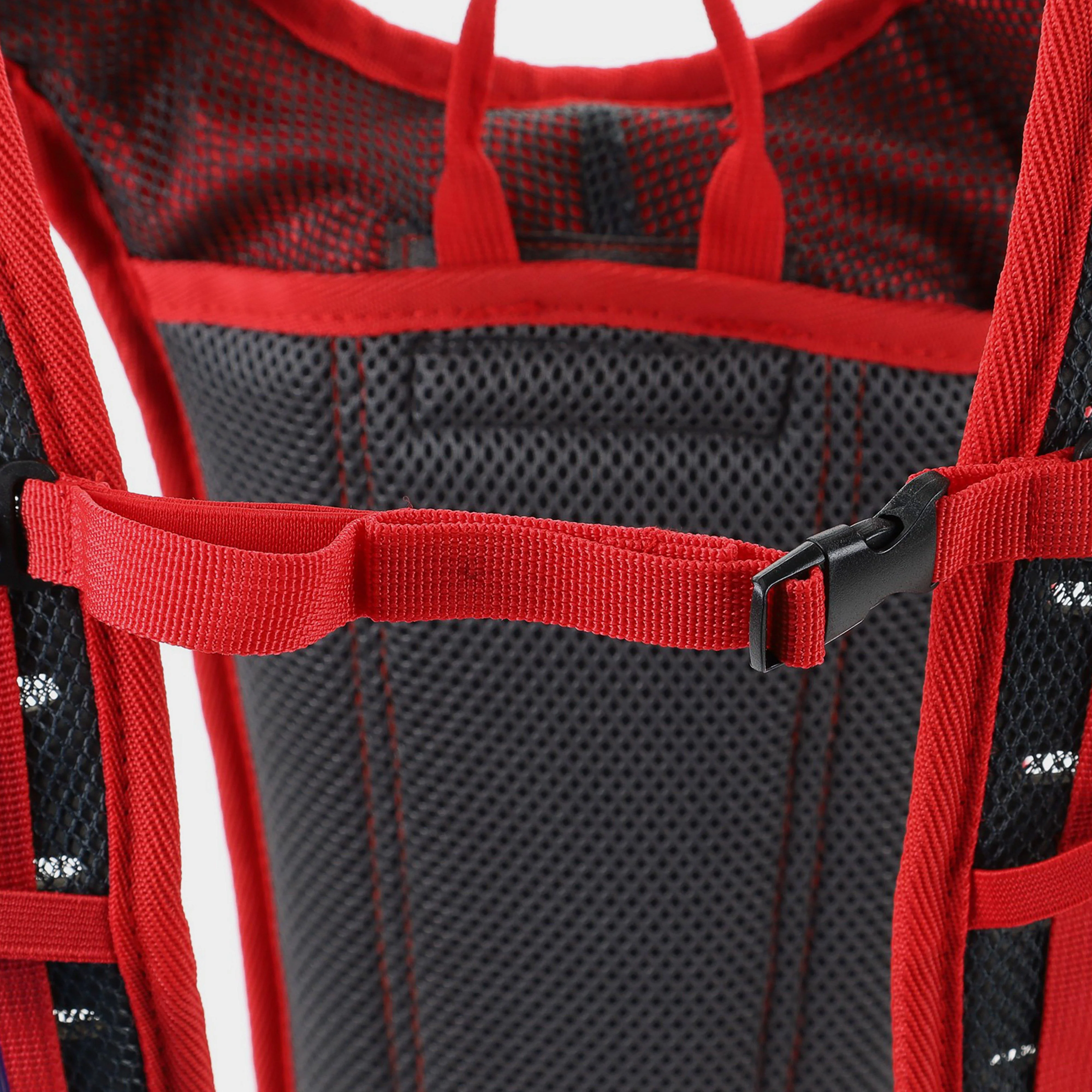 Cactus 3L Daysack - Image 4