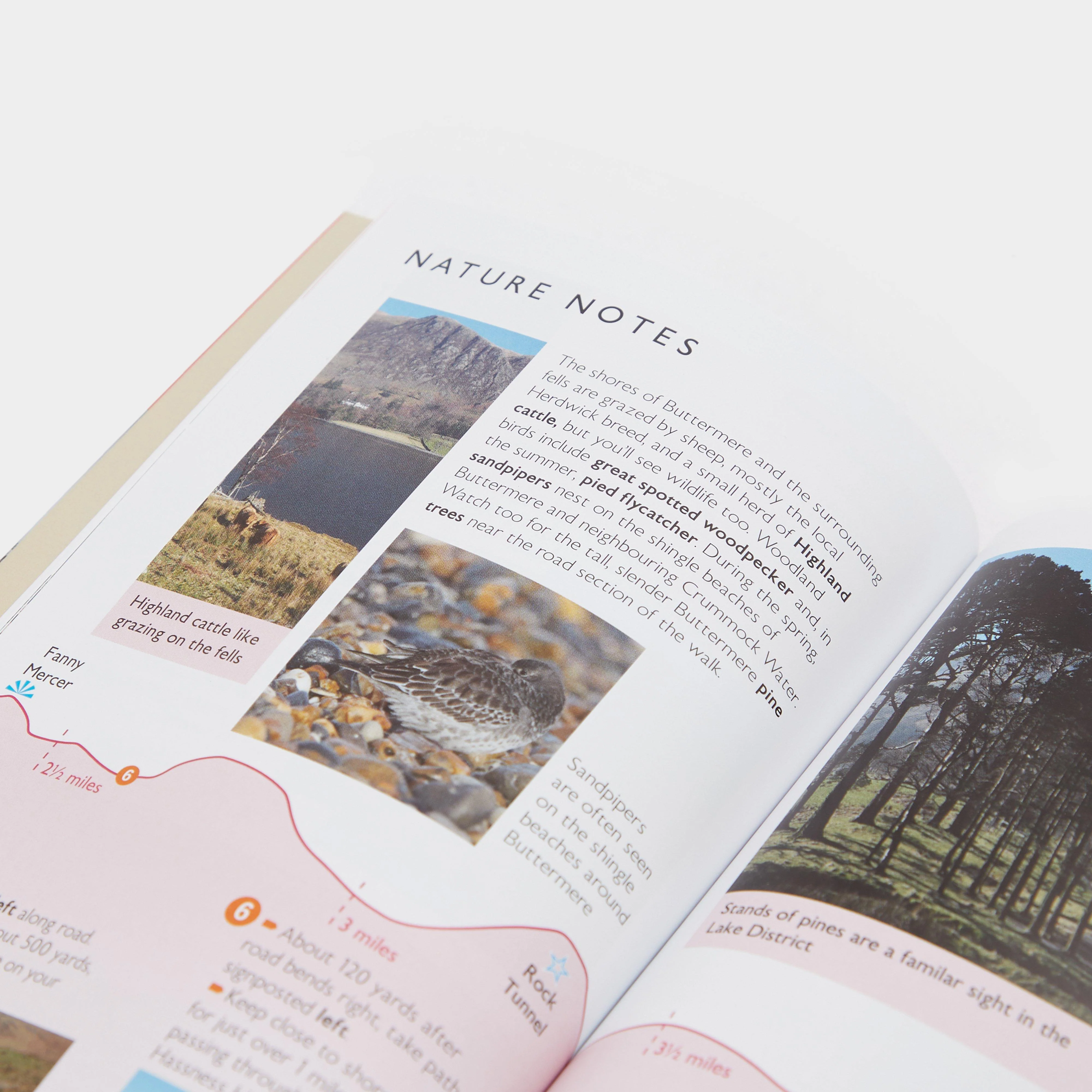 Short Walks Made Easy – Lake District - Image 3
