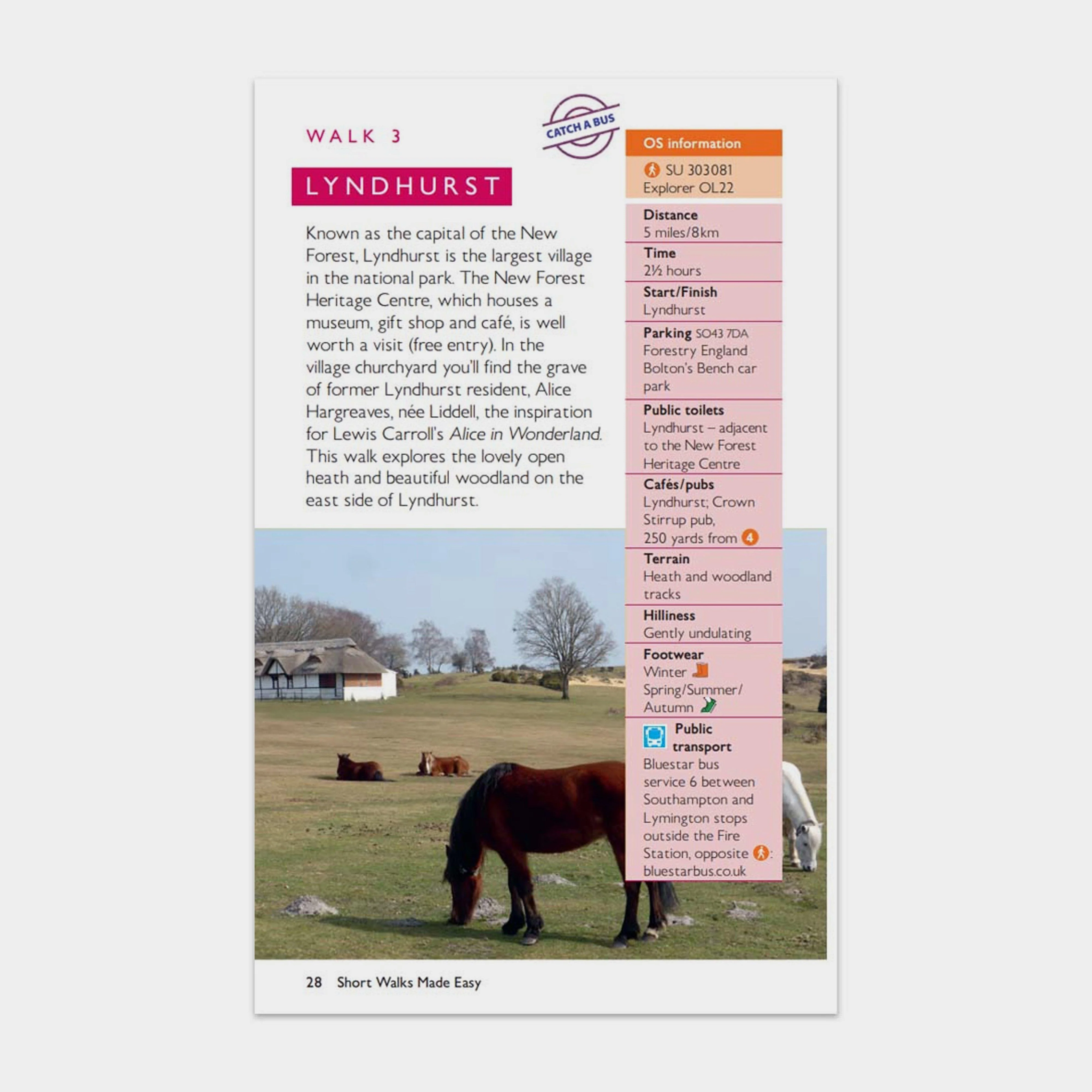 Short Walks Made Easy – New Forest - Image 2