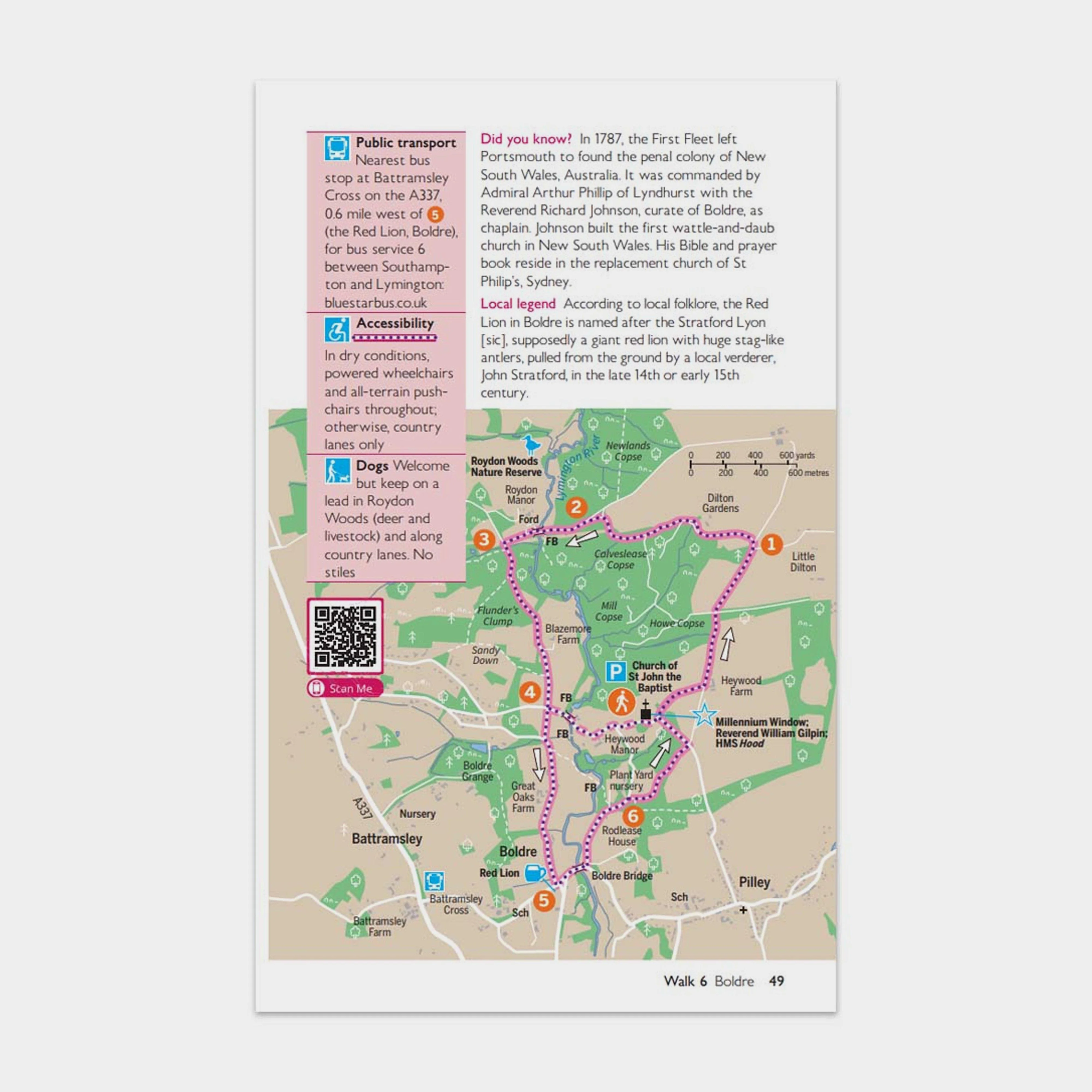 Short Walks Made Easy – New Forest - Image 3